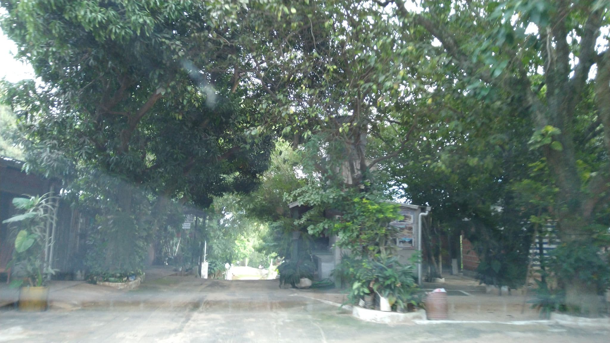 Street view near Camping Puesta del Sol, Ituzaingó — © diegokrein (CC BY-SA · Mapillary)