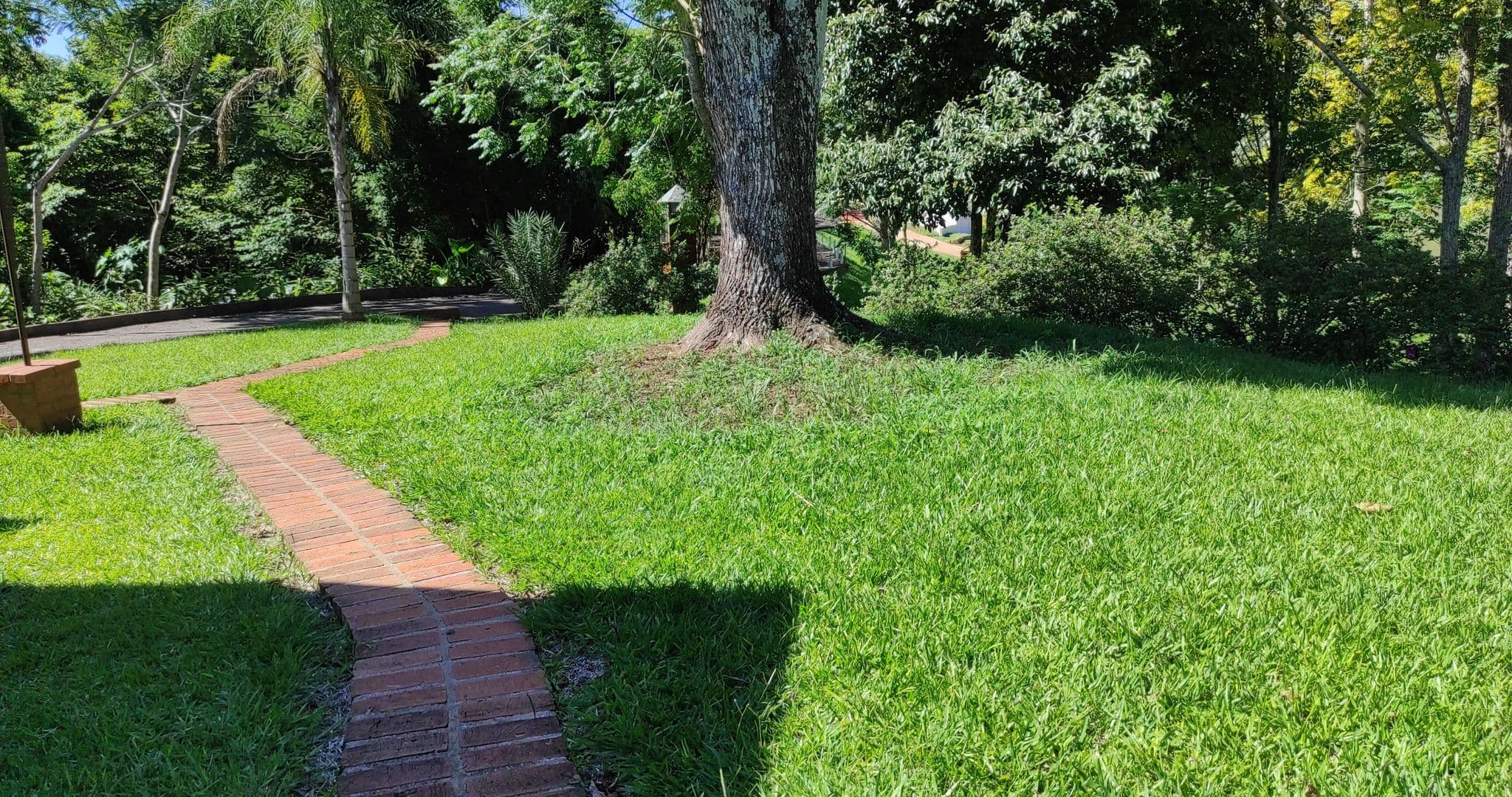 Street view near Ecolodge Moconá, El Soberbio — © diegokrein (CC BY-SA · Mapillary)