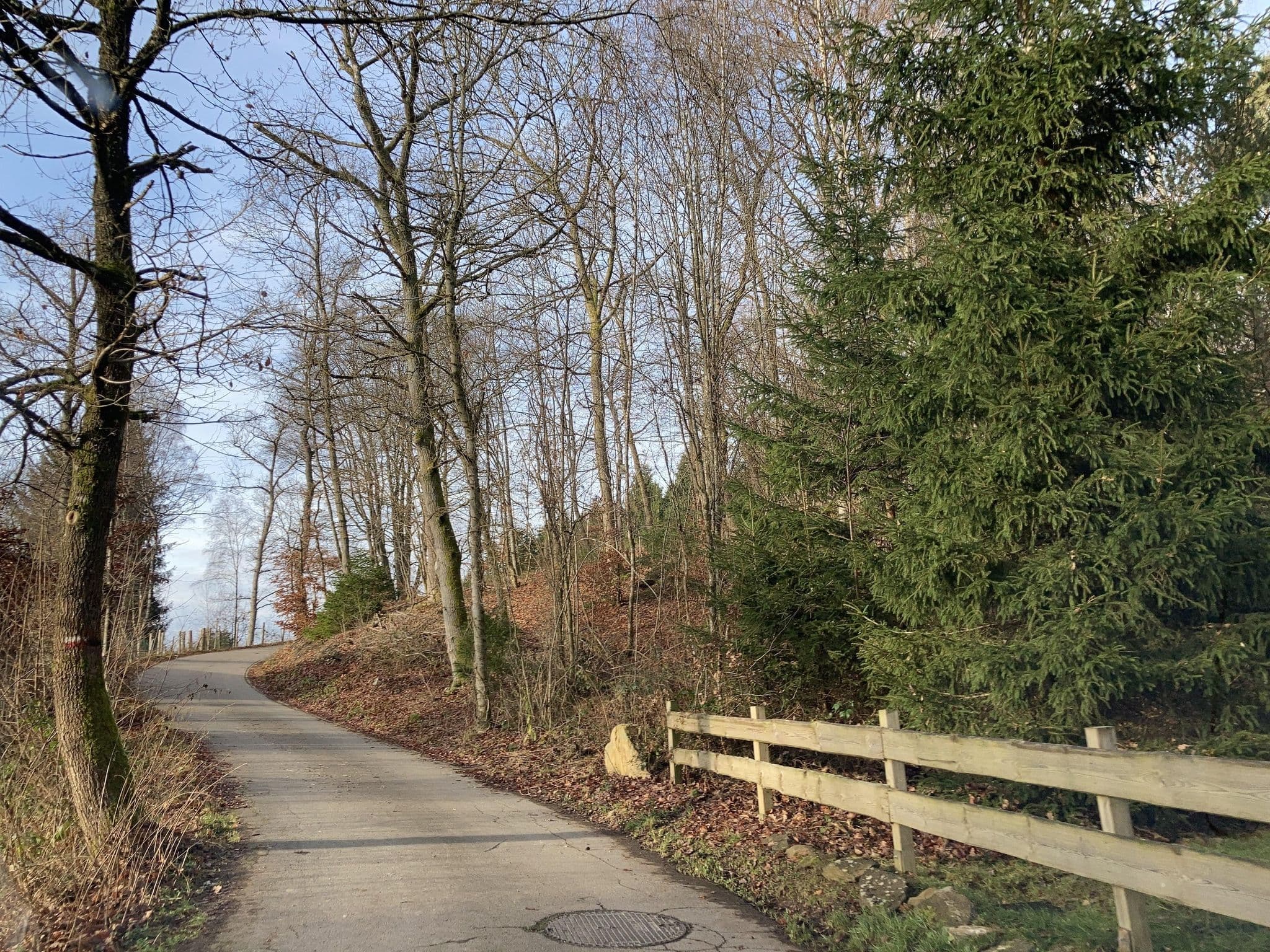 Street view near Curtis Amblava, Waimes — © tasmaniadevil (CC BY-SA · Mapillary)