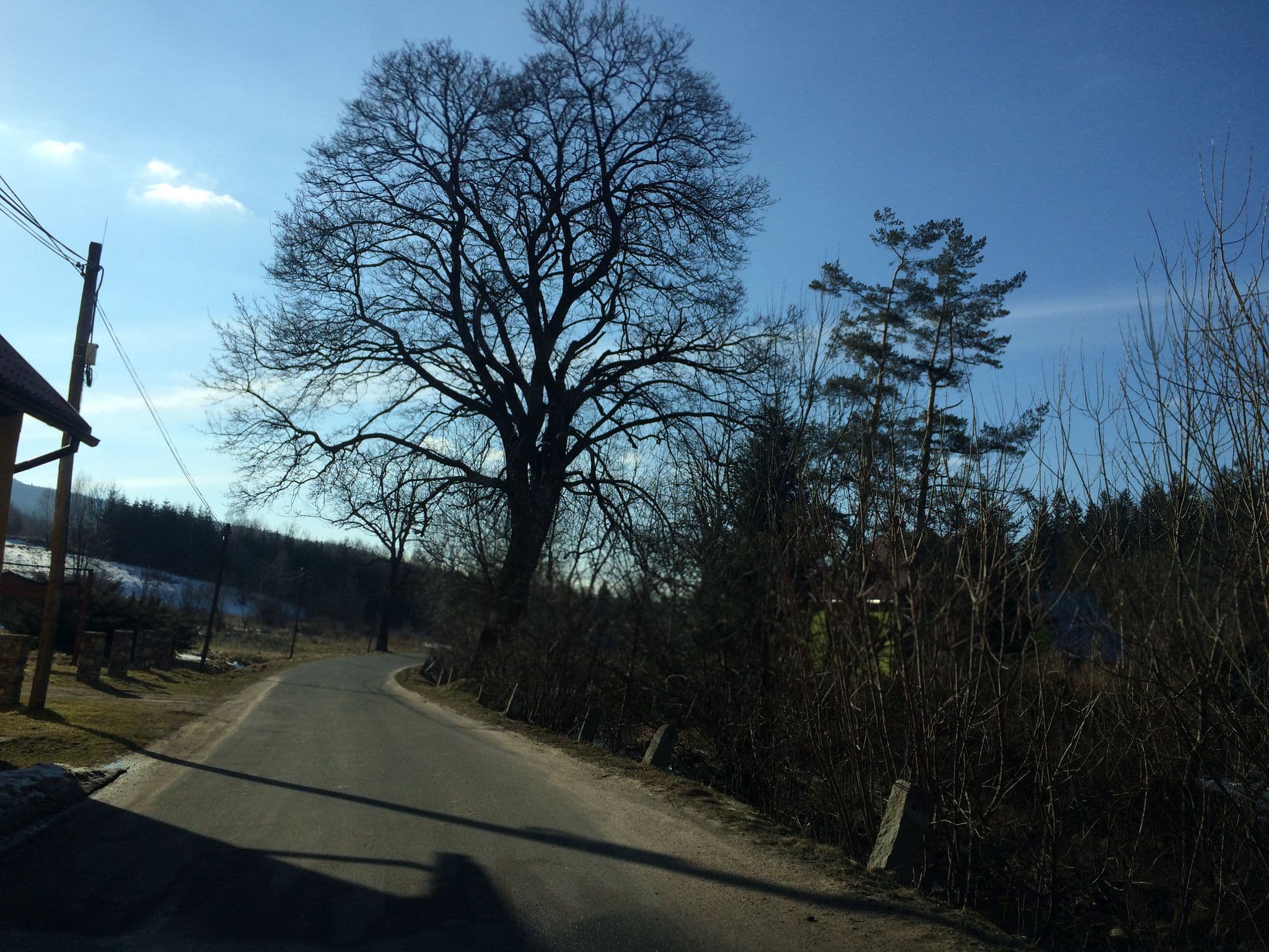 Street view near Stanica, Stronie Śląskie — © zvid (CC BY-SA · Mapillary)