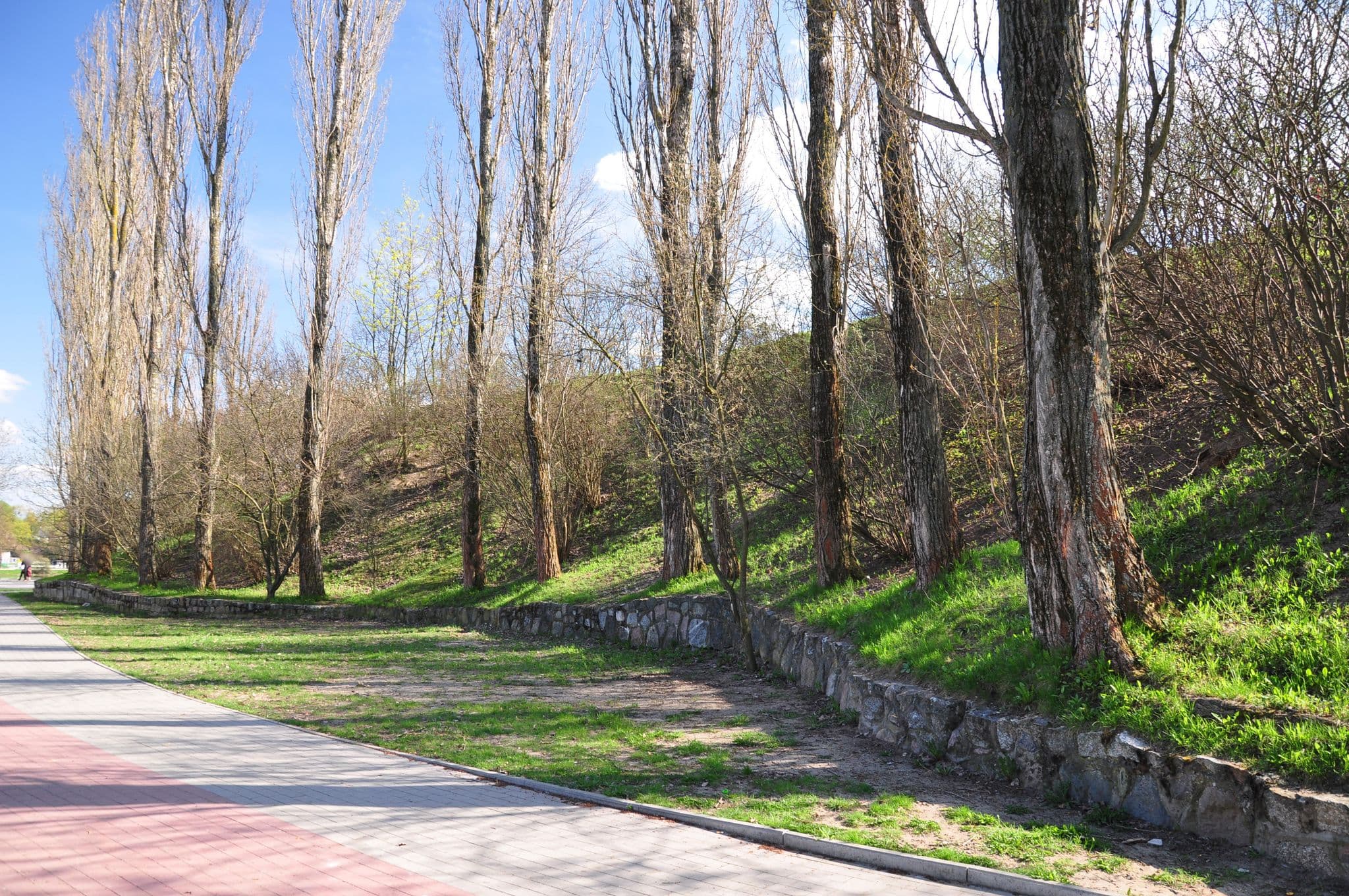 Street view near Rybakowka, Wąbrzeźno — © lucivo (CC BY-SA · Mapillary)