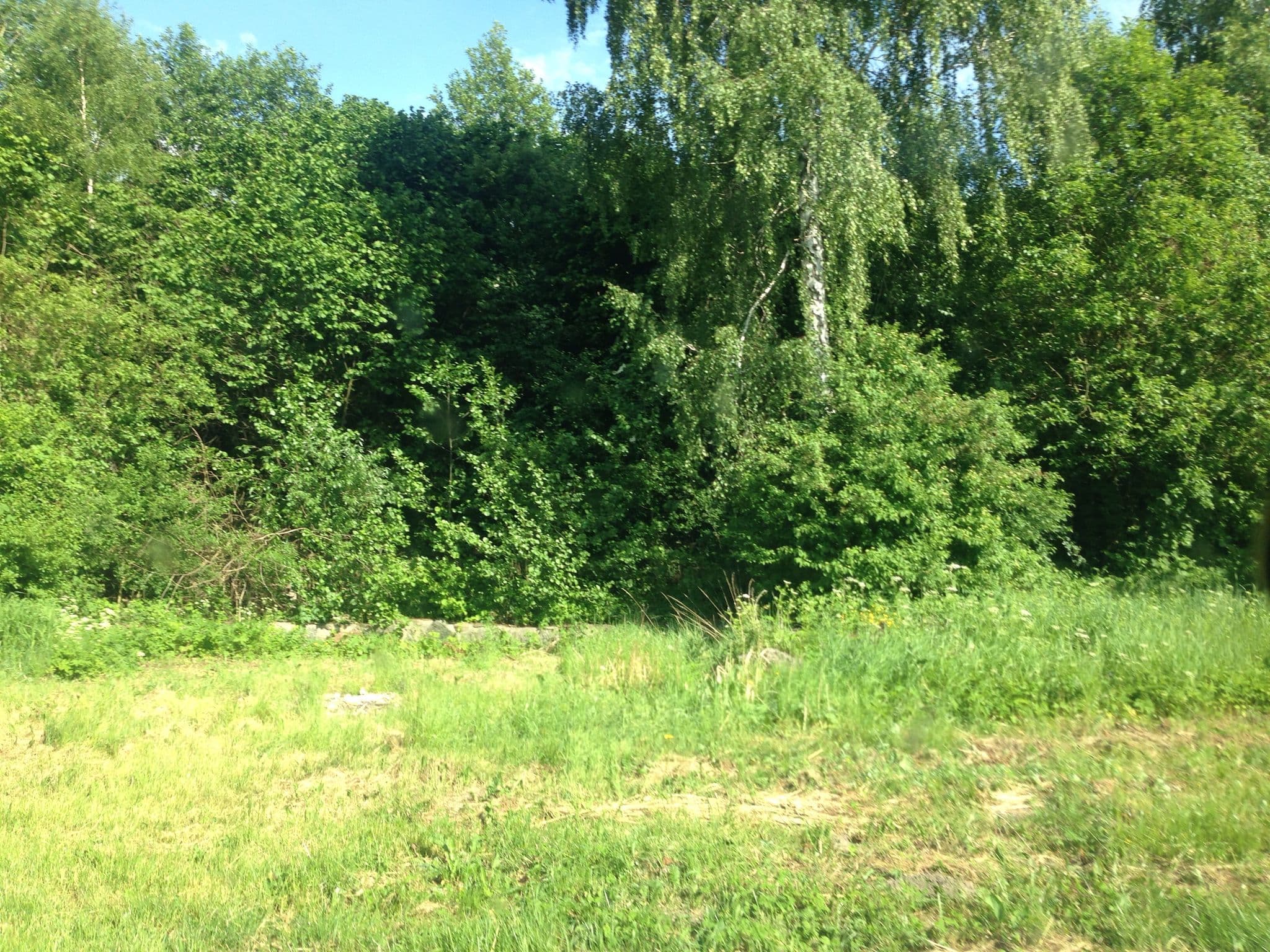 Street view near Kamping Waldemar karbowski, Brzozie — © fundacja_geolife (CC BY-SA · Mapillary)