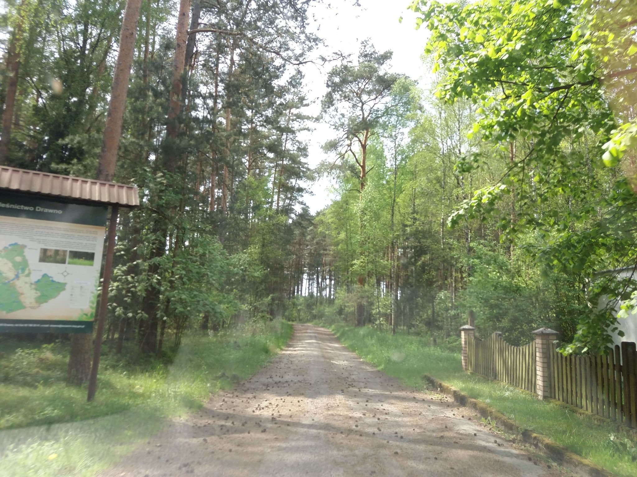 Street view near Kwatera Myśliwska Borowiec, Drawno — © czadzik (CC BY-SA · Mapillary)