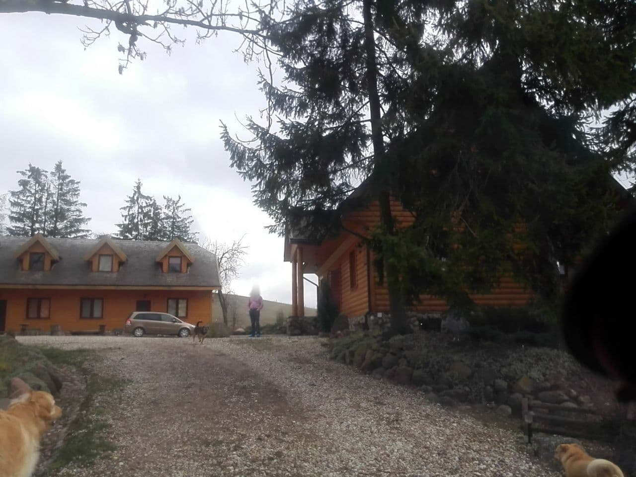 Street view near Agroturystyka Gospodarstwo Ścibowo, Puńsk — © hanbei (CC BY-SA · Mapillary)