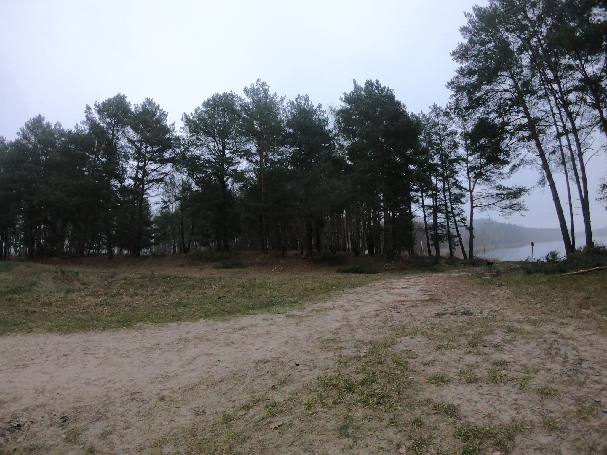 Street view near Pole biwakowe, Pszczew — © masterofnoroad (CC BY-SA · Mapillary)