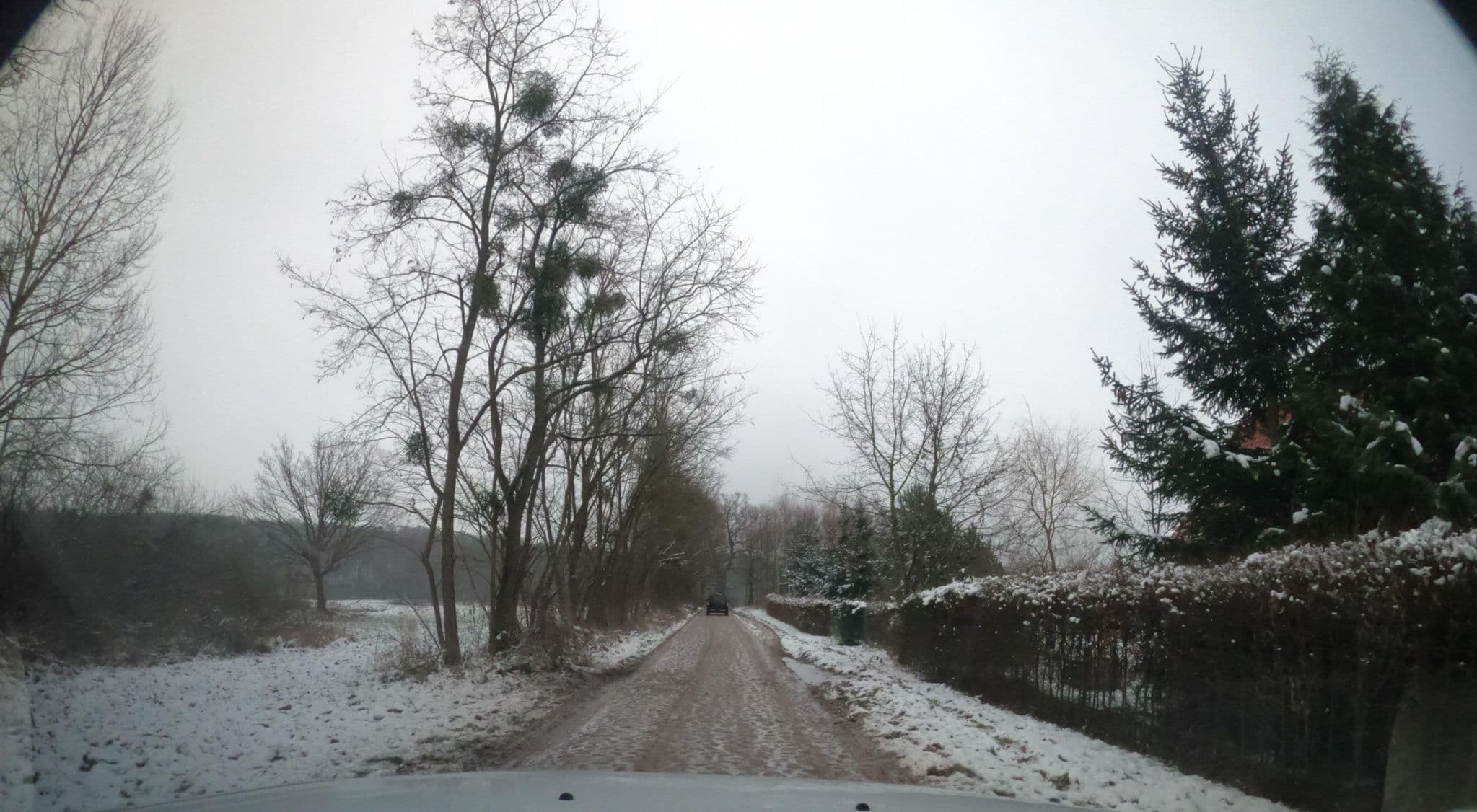 Street view near Siedlisko Orlik, Barlinek — © masterofnoroad (CC BY-SA · Mapillary)
