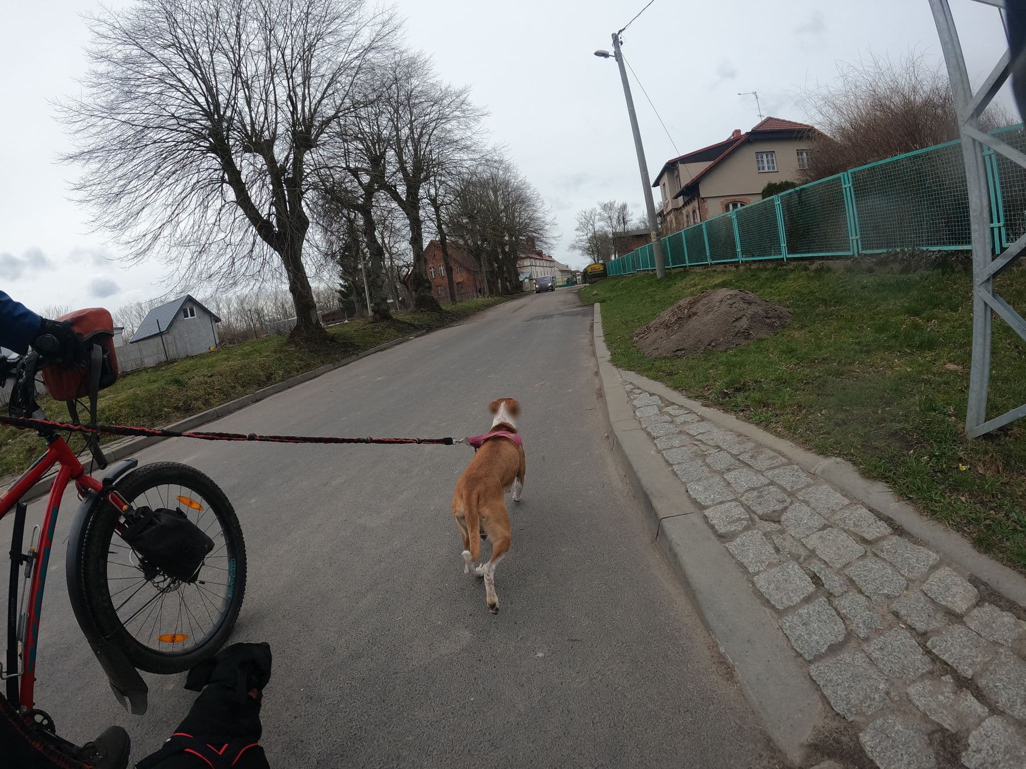 Street view near Dwie Podkowy, Trzebiatów — © masterofnoroad (CC BY-SA · Mapillary)
