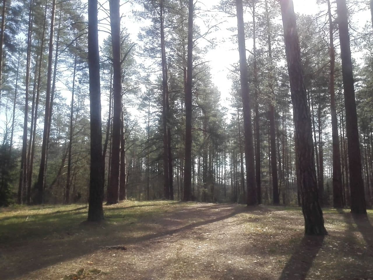 Street view near Pole biwakowe nad Jeziorem Pomorze, Sejny — © hanbei (CC BY-SA · Mapillary)