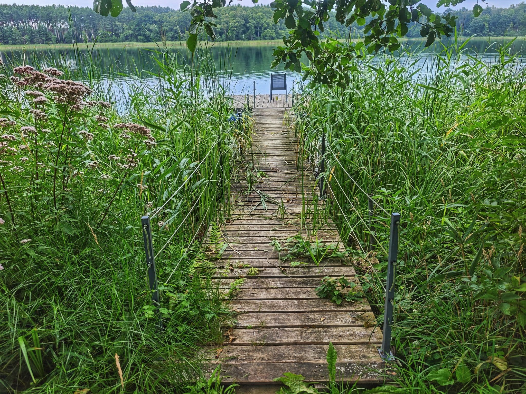 Street view near Chudoba, Pszczew — © km2bp (CC BY-SA · Mapillary)