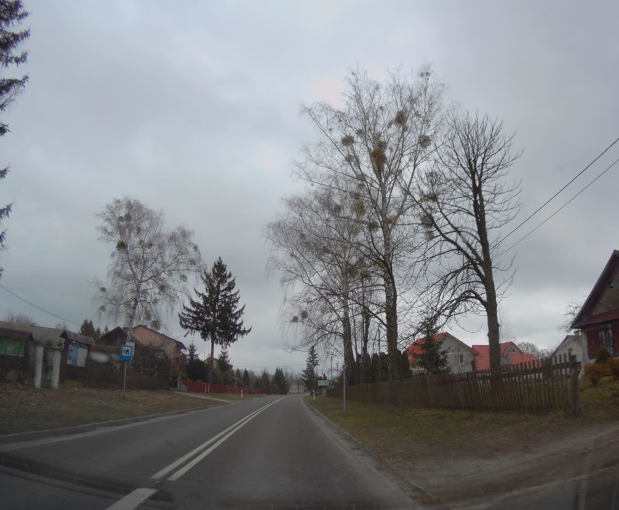 Street view near Agroturistika, Sławatycze — © sashabrava (CC BY-SA · Mapillary)