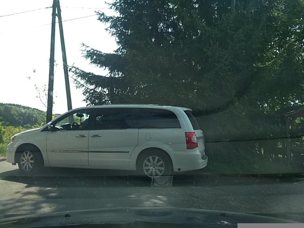 Street view near Agroturystyka Czartak, Kowary — © strudel (CC BY-SA · Mapillary)
