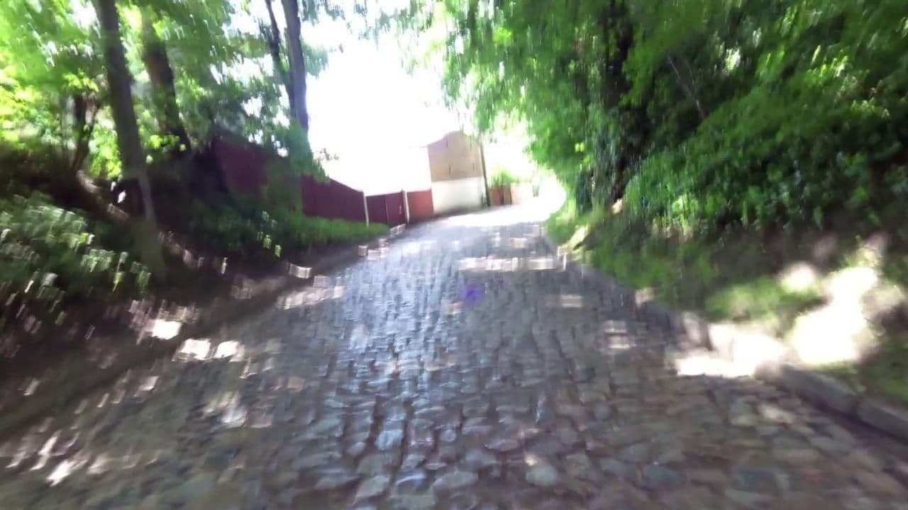Street view near Zielona Przystań, Dąbie — © masterofnoroad (CC BY-SA · Mapillary)