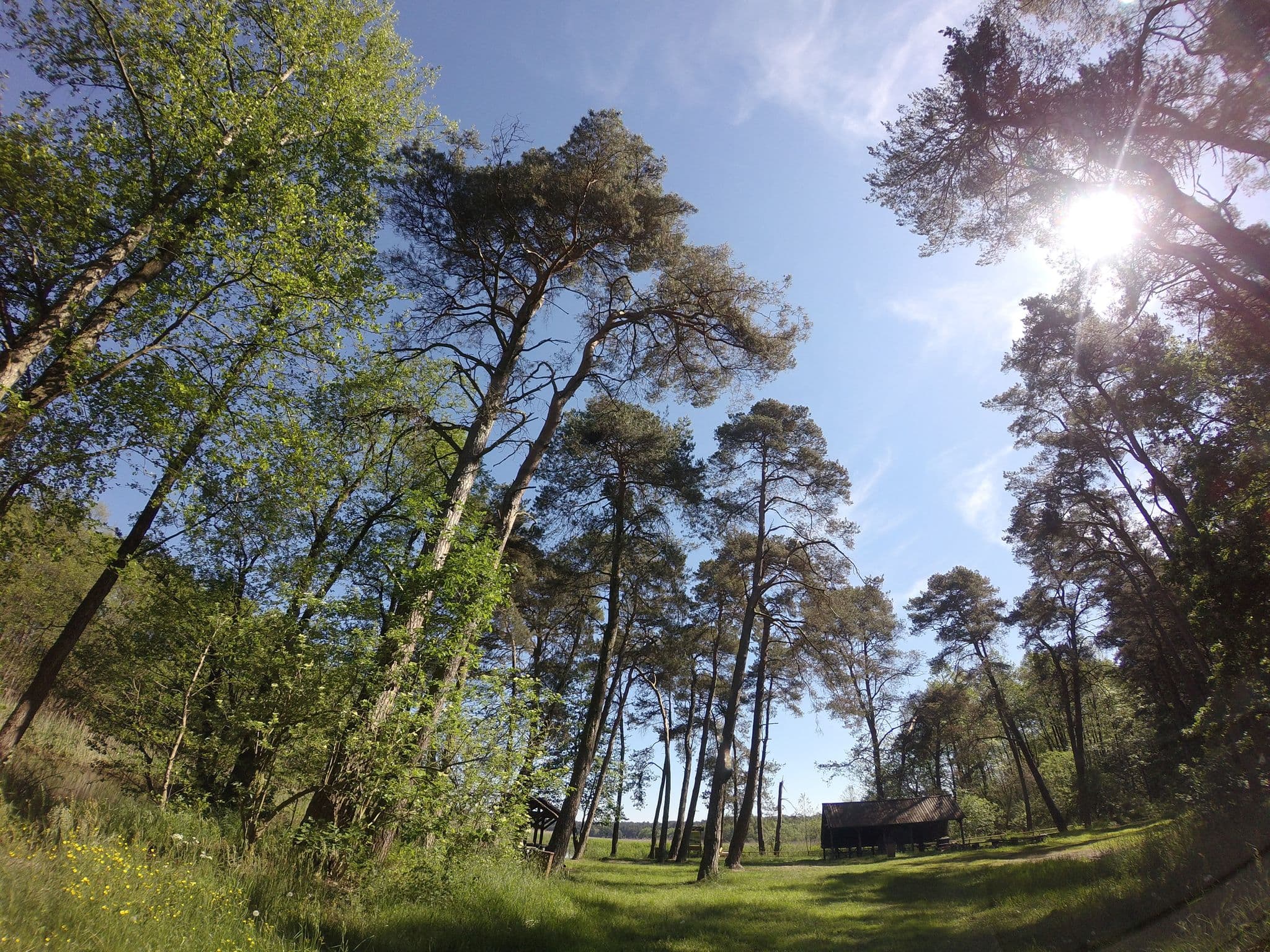 Street view near Biwak, Drawno — © czadzik (CC BY-SA · Mapillary)