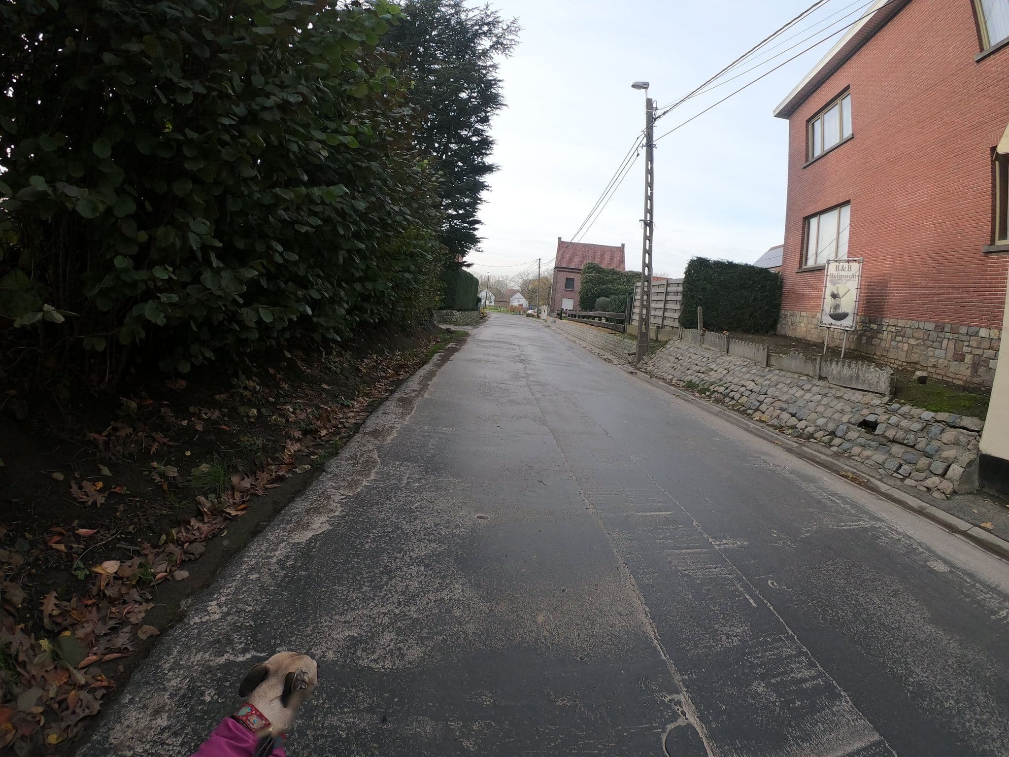 Street view near Molenzicht, Denderwindeke — © escada (CC BY-SA · Mapillary)