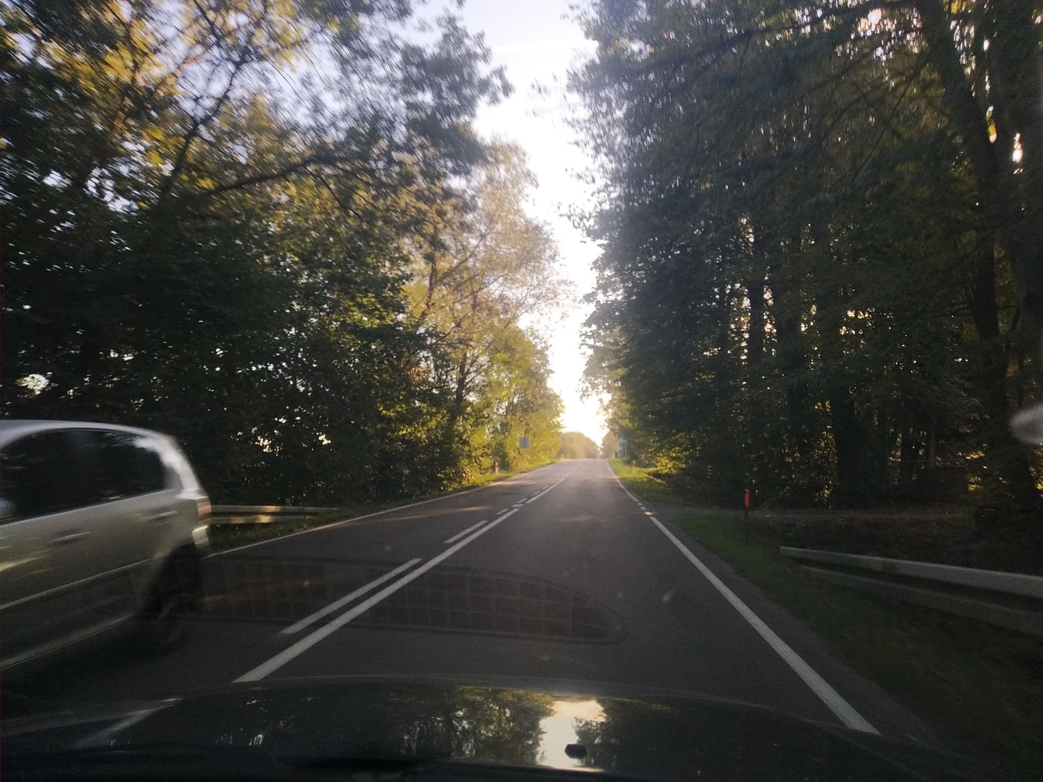 Street view near Przy Cesarskim Gościńcu, Dynów — © czecko (CC BY-SA · Mapillary)