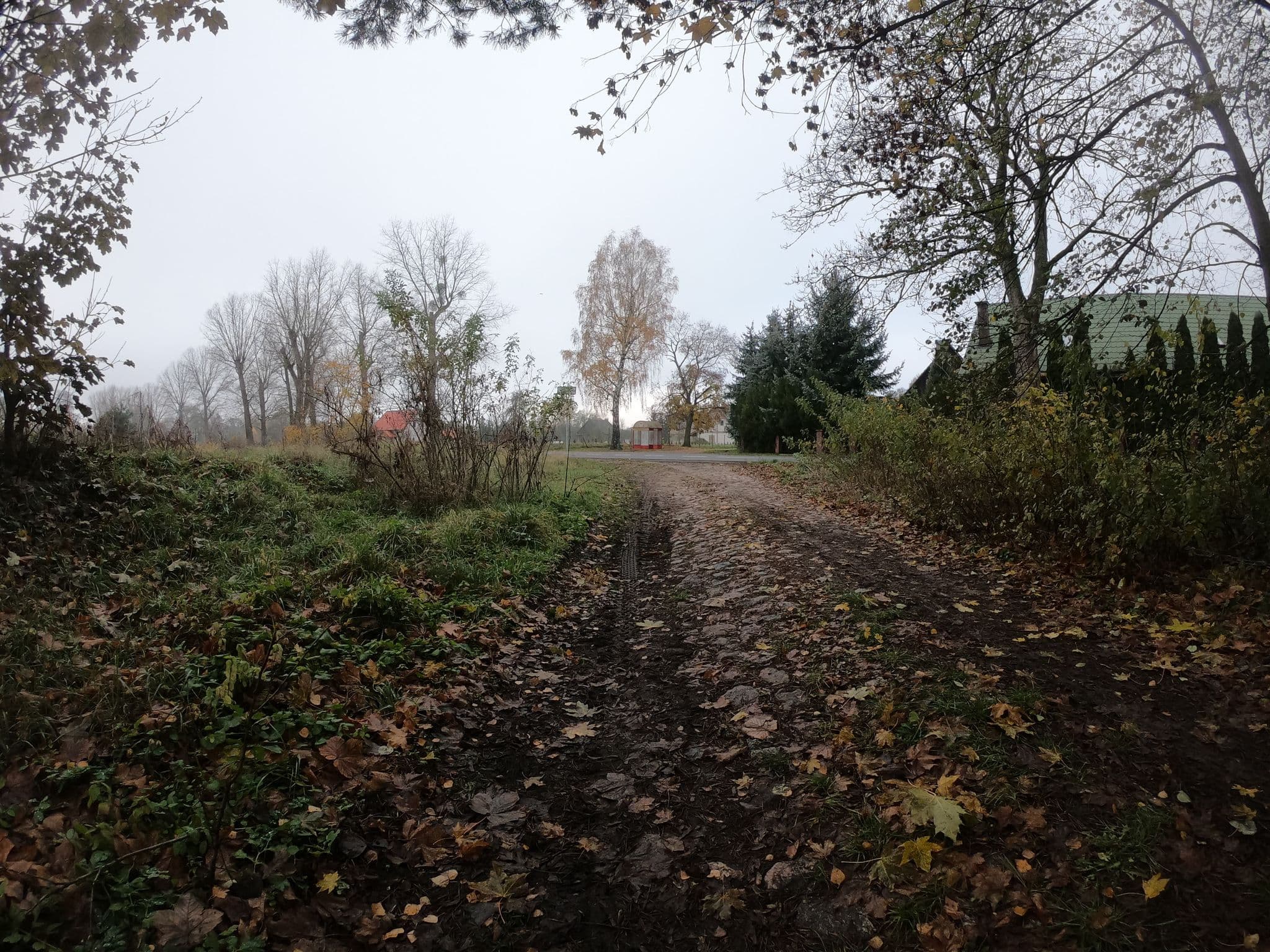 Street view near Milena, Łagów — © masterofnoroad (CC BY-SA · Mapillary)