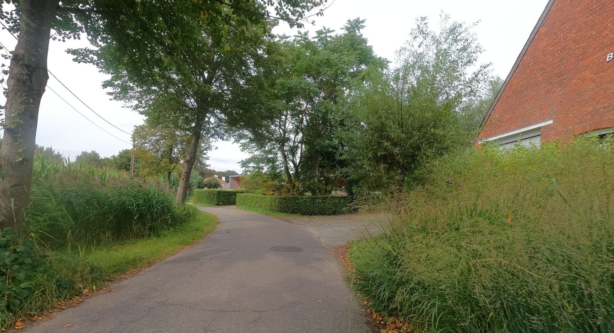 Street view near B&B Hotel, Kalmthout — © koninklijke (CC BY-SA · Mapillary)
