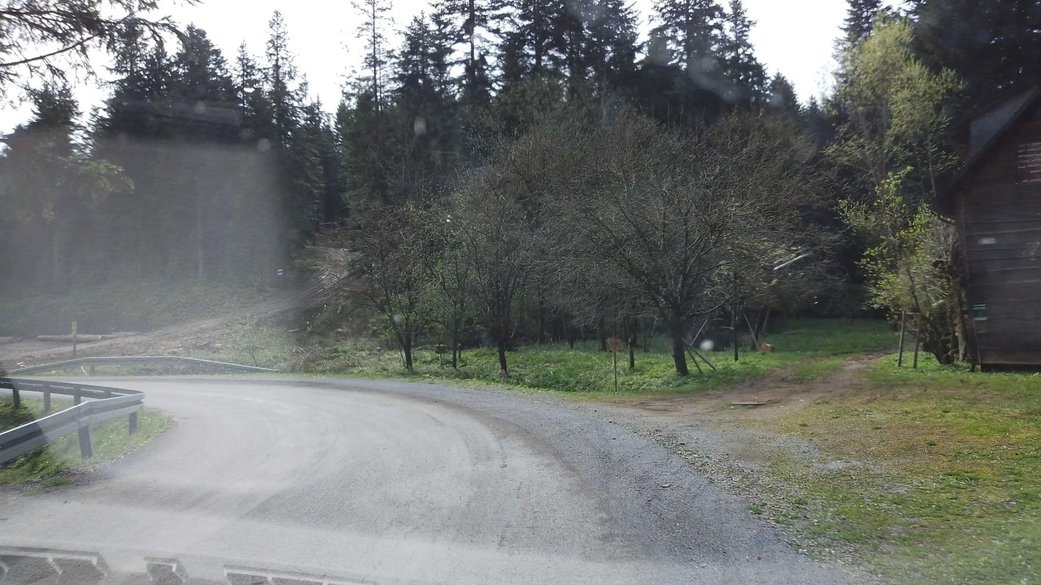 Street view near Stare Schronisko, Rzepedź — © czecko (CC BY-SA · Mapillary)