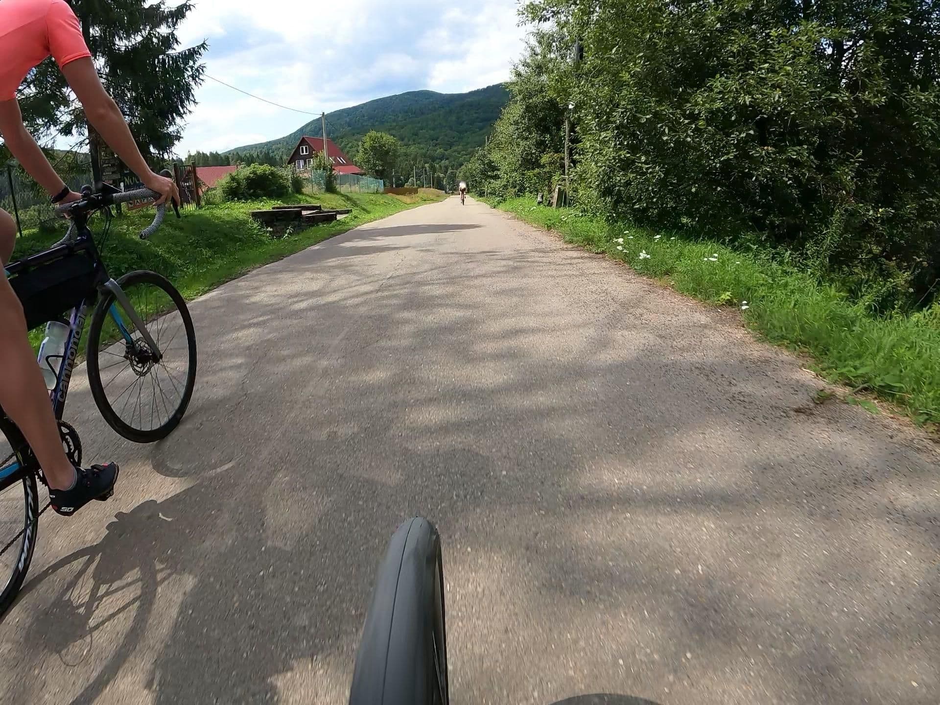 Street view near Cicha Dolina, Baligród