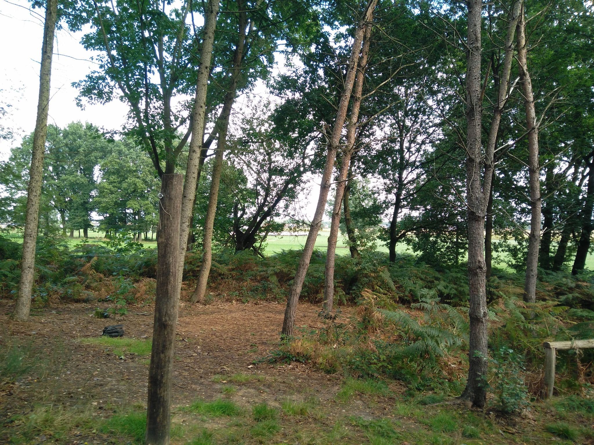 Street view near Paalkamperen Itter, Opitter — © wandelzicht (CC BY-SA · Mapillary)