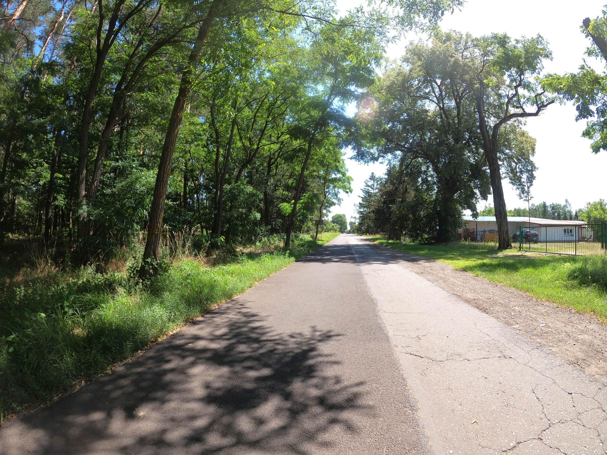 Street view near Domek nad Wartą, Międzychód — © masterofnoroad (CC BY-SA · Mapillary)