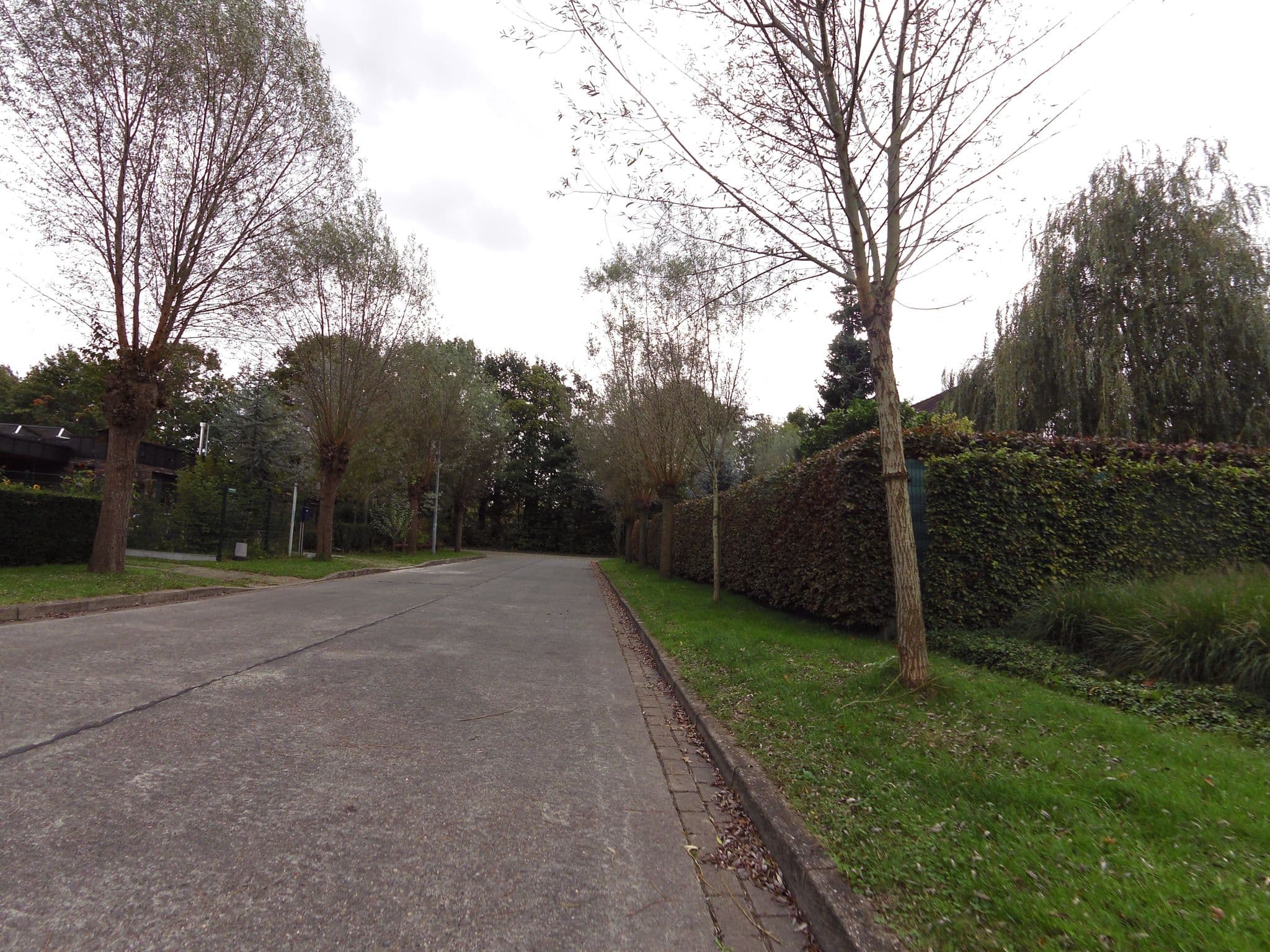 Street view near Holiday Home Bruges De Pepel, Assebroek — © zors1843 (CC BY-SA · Mapillary)