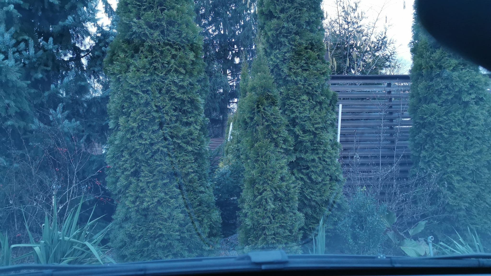 Street view near Agit, Lublin — © mhenclik (CC BY-SA · Mapillary)