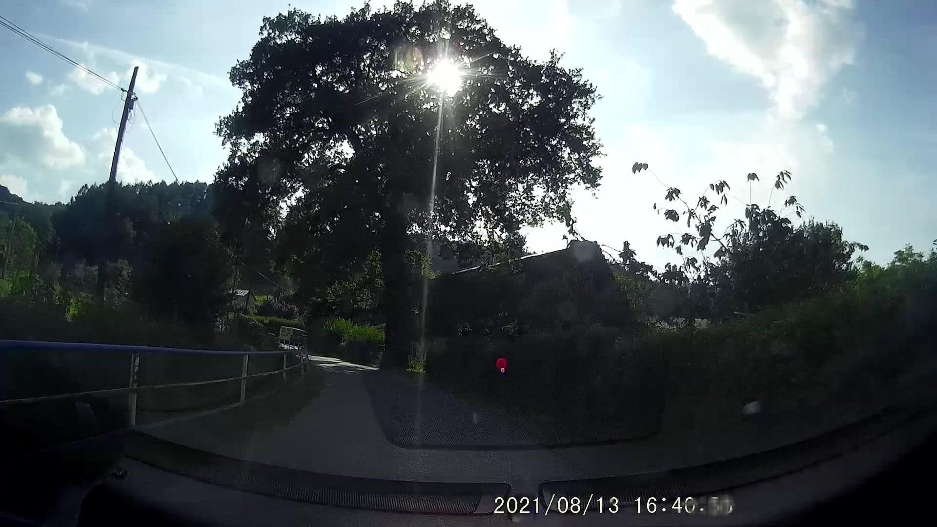 Street view near Agroturystyka, Lewin Kłodzki — © dasza (CC BY-SA · Mapillary)