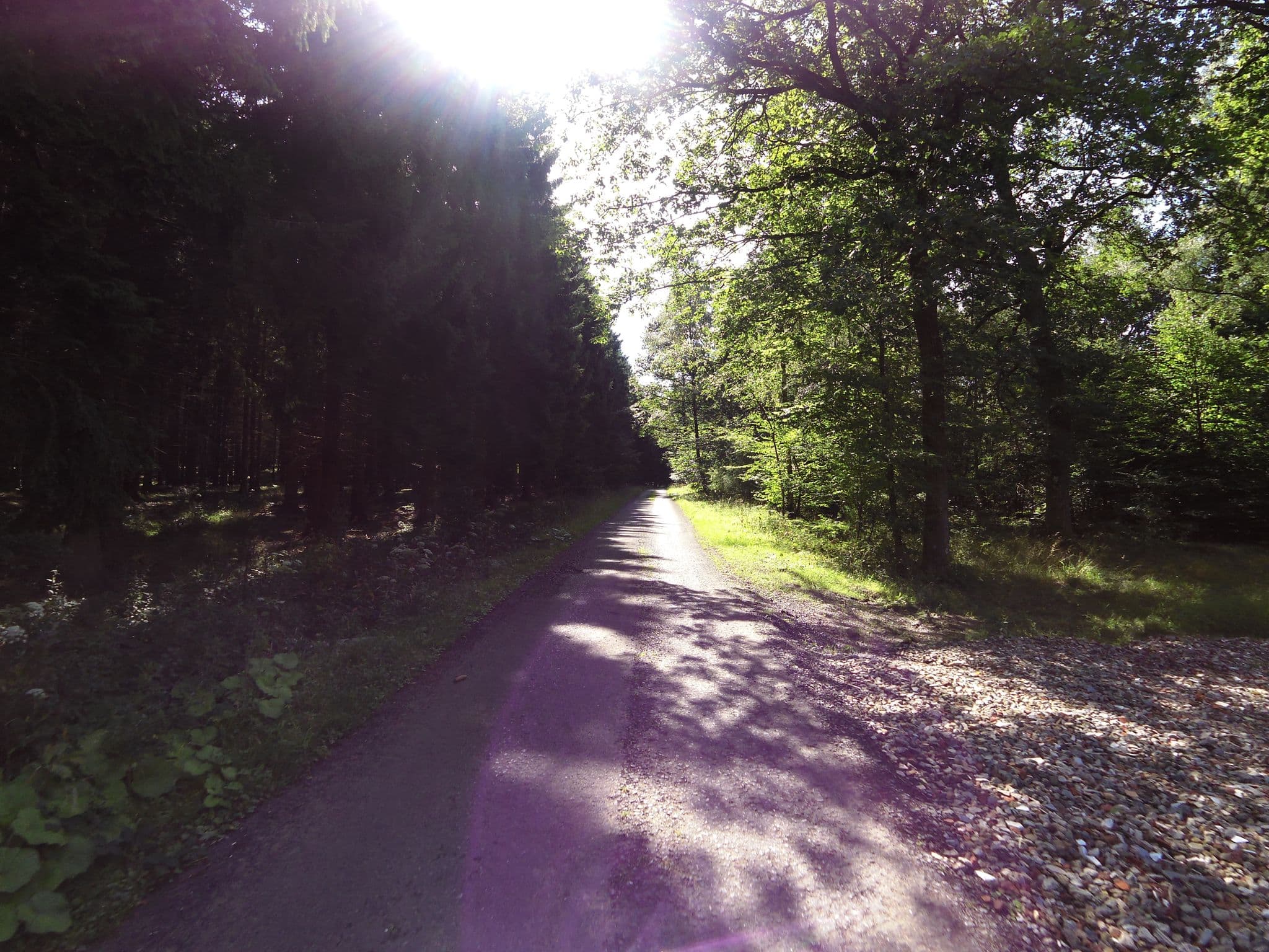 Street view near Aire de Bivouac des Traqueurs, Nassogne — © zors1843 (CC BY-SA · Mapillary)