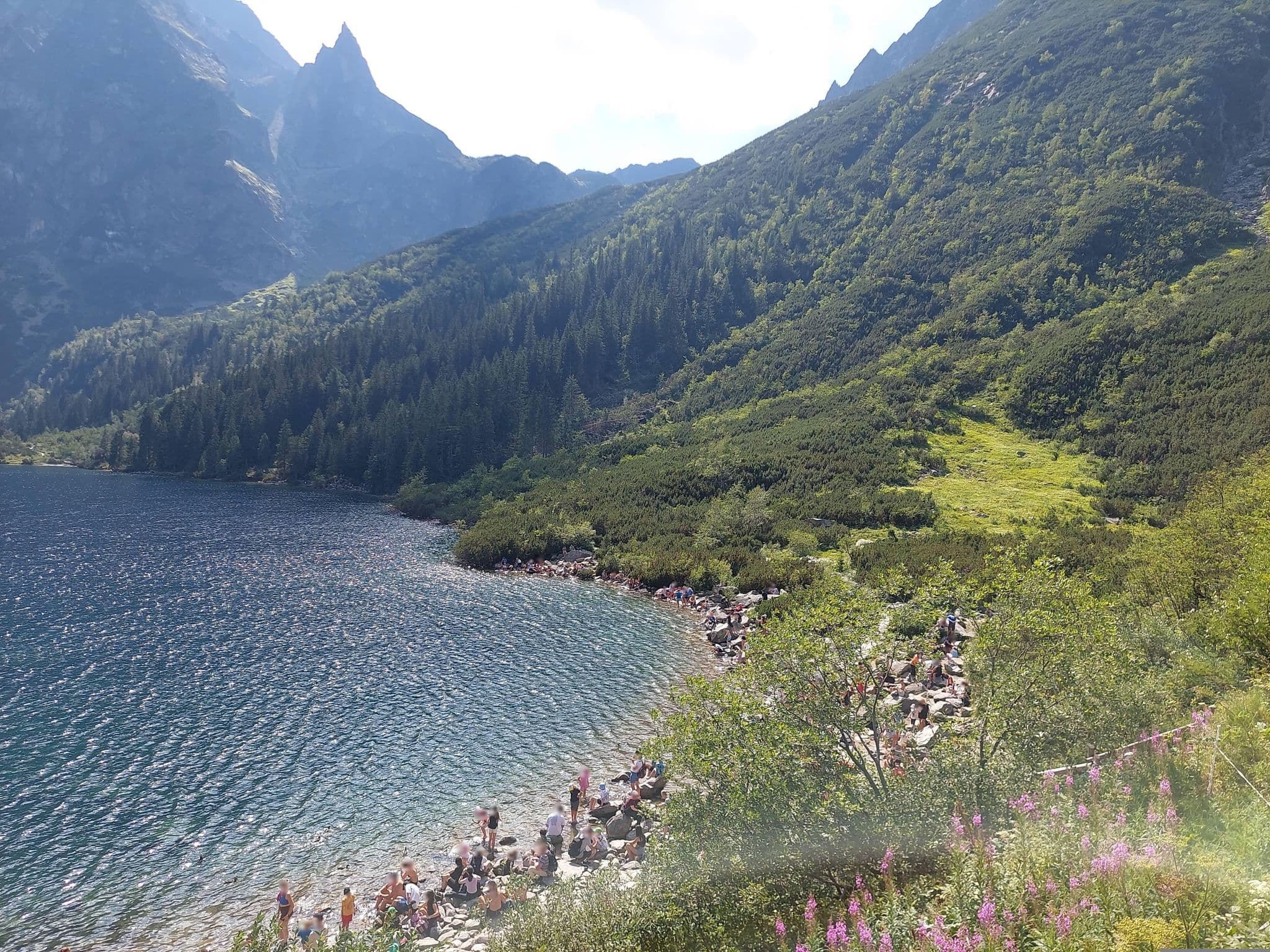 Street view near Schronisko PTTK Morskie Oko, Murzasichle — © cottonbk (CC BY-SA · Mapillary)