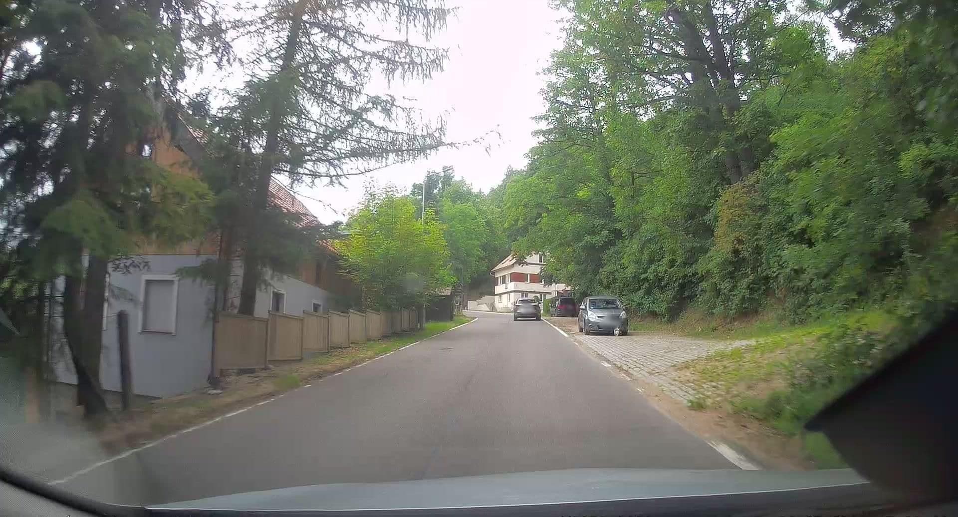 Street view near Agroturystyka Pod Świerkiem, Stoszowice — © edc22 (CC BY-SA · Mapillary)