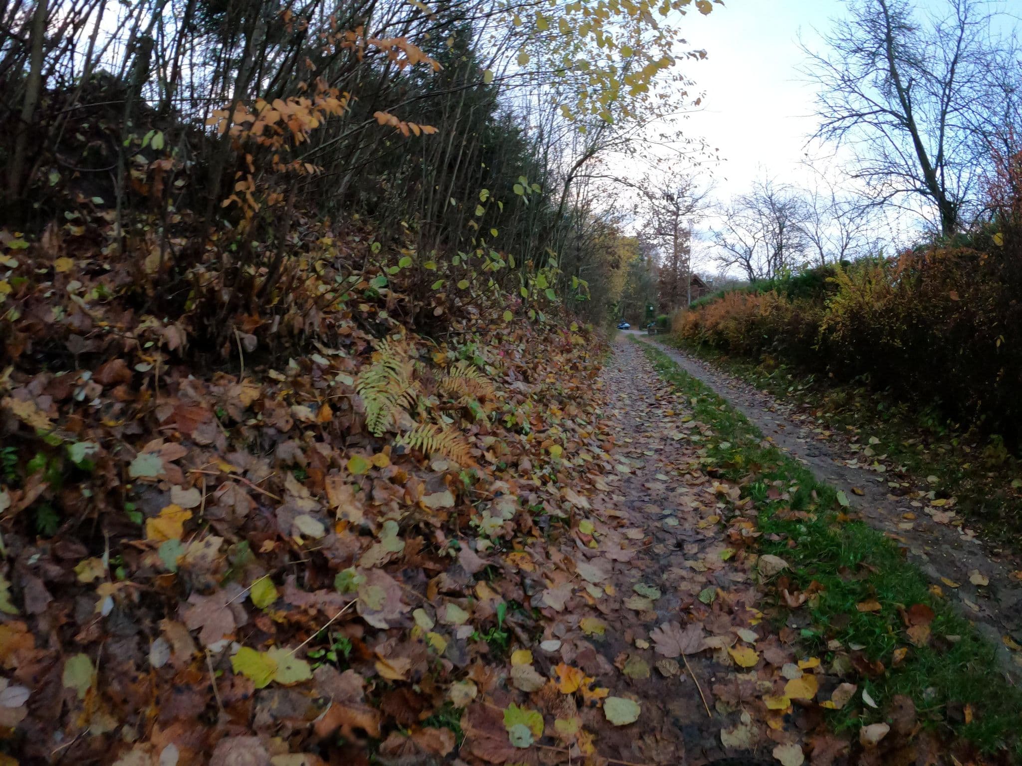 Street view near Dom Gościnny, Tuczno — © masterofnoroad (CC BY-SA · Mapillary)