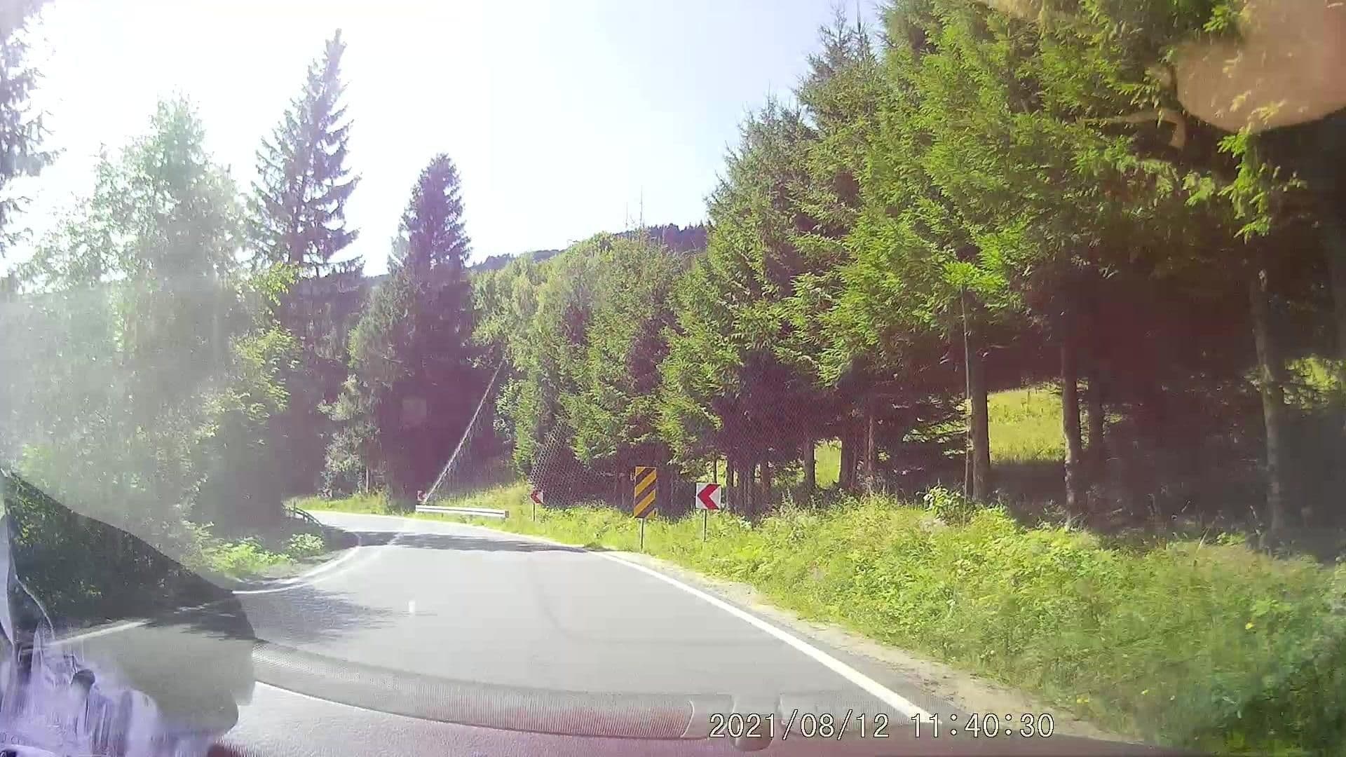 Street view near Bormio, Stronie Śląskie — © dasza (CC BY-SA · Mapillary)
