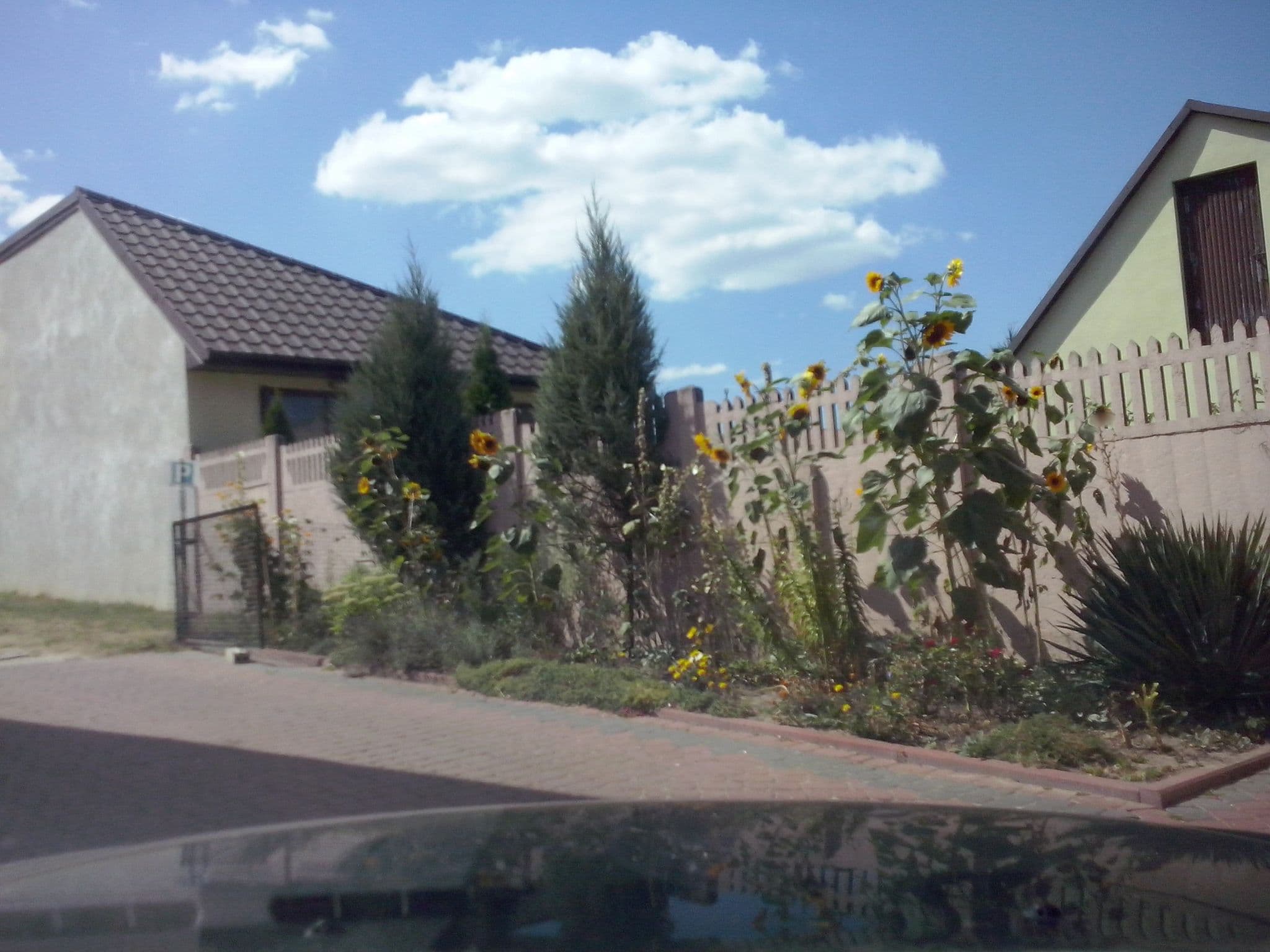 Street view near Agroturystyka Przy Źródełku, Raków — © Zbigniew_Czernik (CC BY-SA · Mapillary)