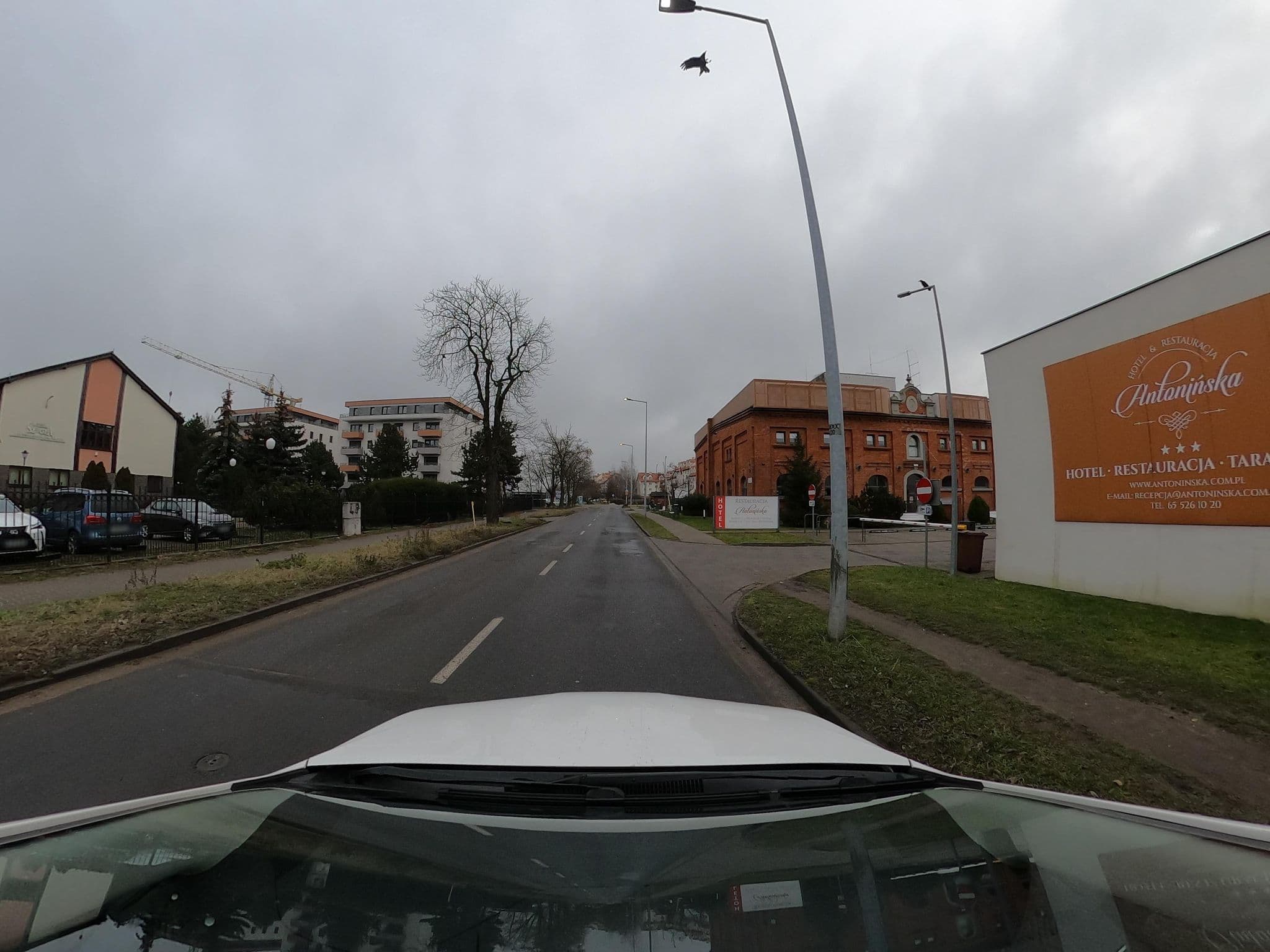 Street view near Hotel Antoniński, Leszno — © altaaro (CC BY-SA · Mapillary)