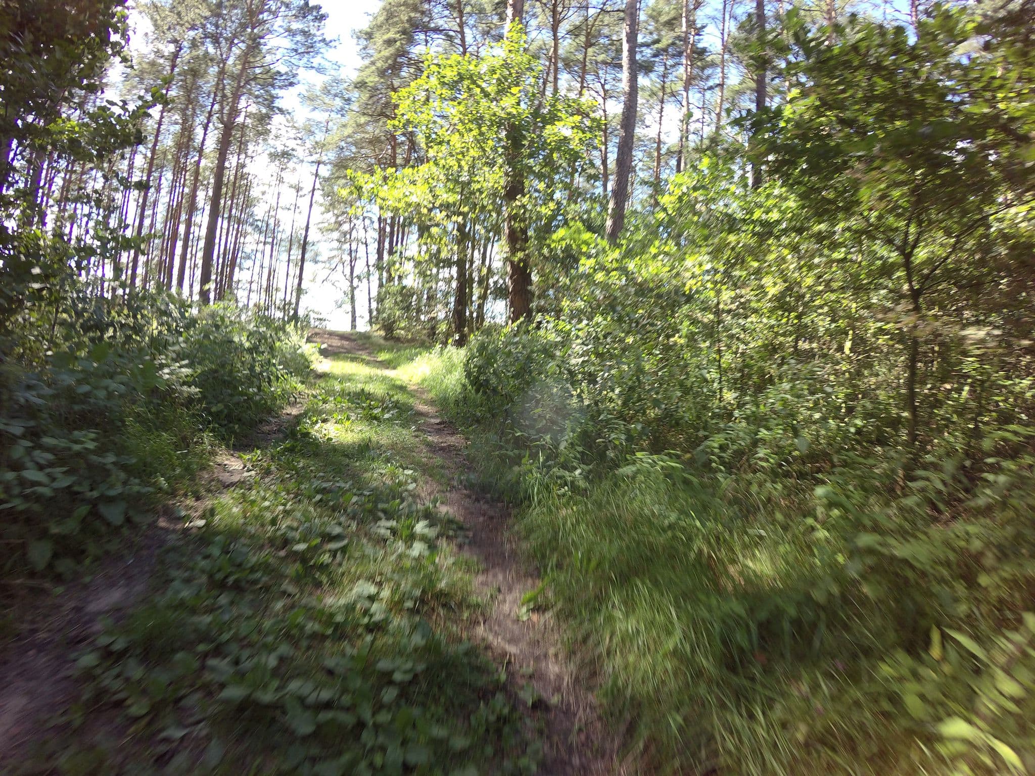 Street view near Ośrodek Wypoczynkowy Formet, Koronowo — © wirtualneszlaki_pl (CC BY-SA · Mapillary)
