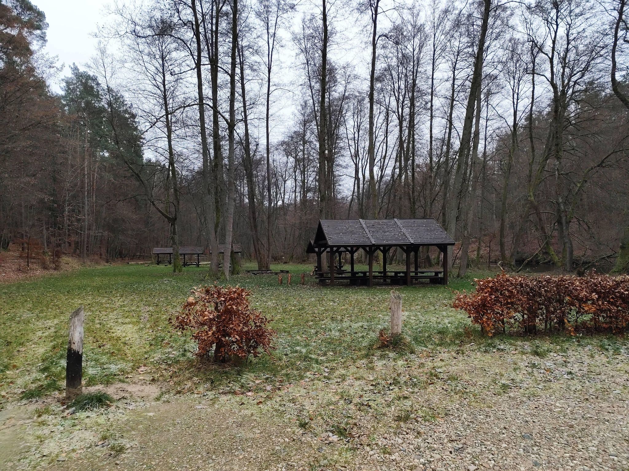 Street view near Biwak Sitnica, Człopa — © masterofnoroad (CC BY-SA · Mapillary)