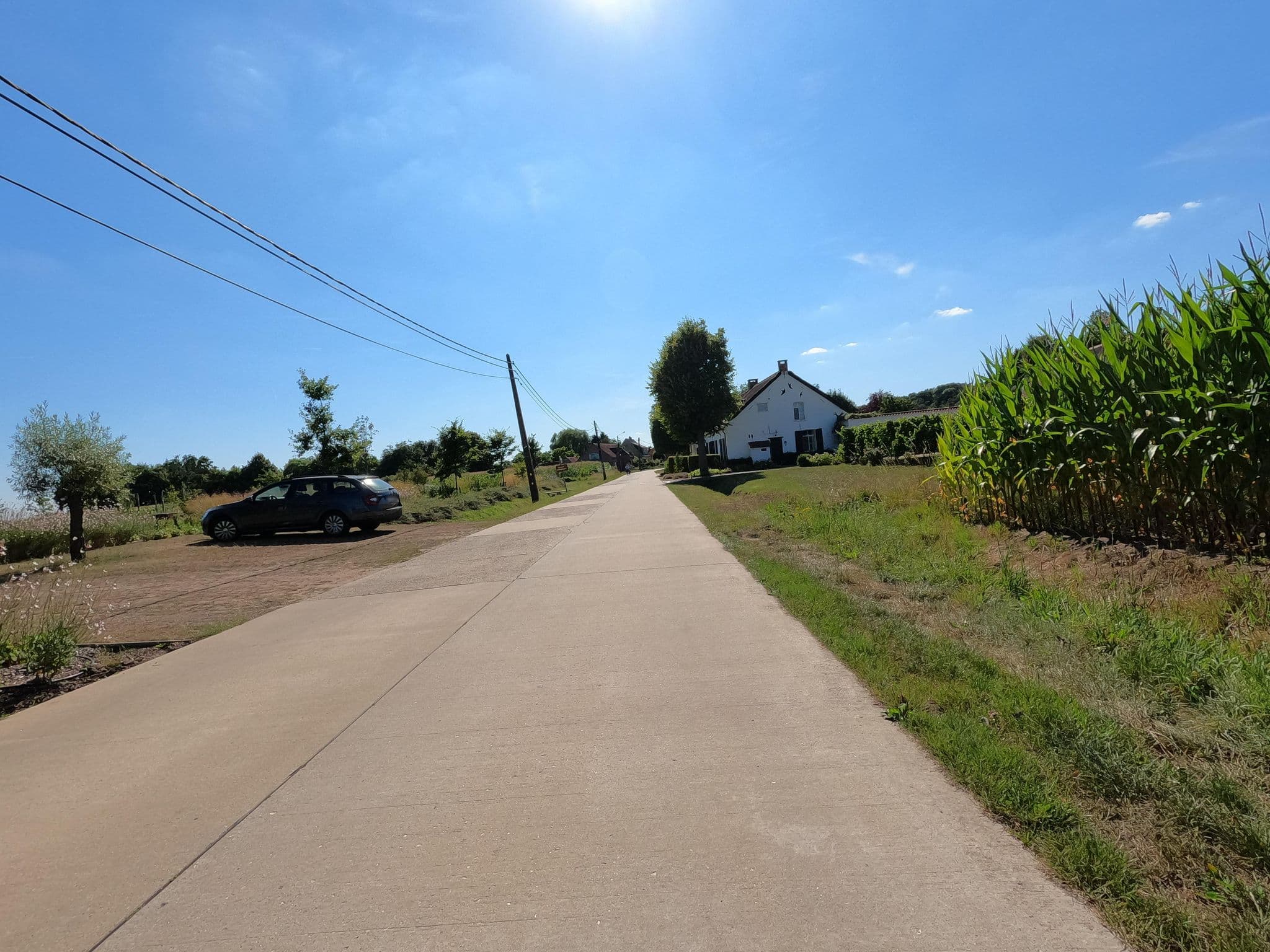 Street view near De Zwaluw, Lichtaart — © koninklijke (CC BY-SA · Mapillary)