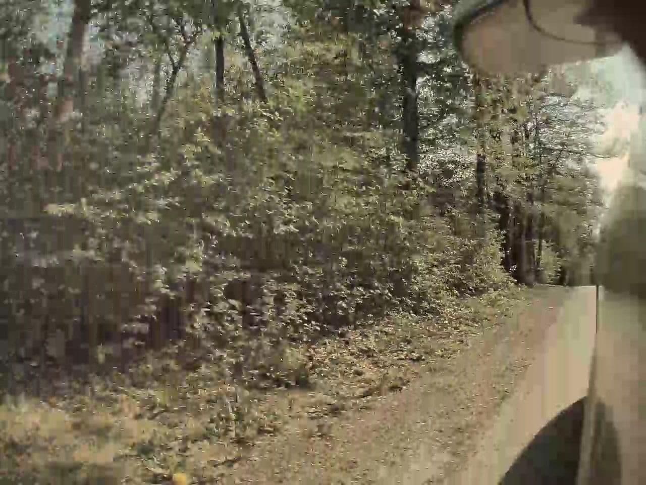 Street view near Bungalow 29 - Woodpecker, Durbuy — © tumblecow (CC BY-SA · Mapillary)