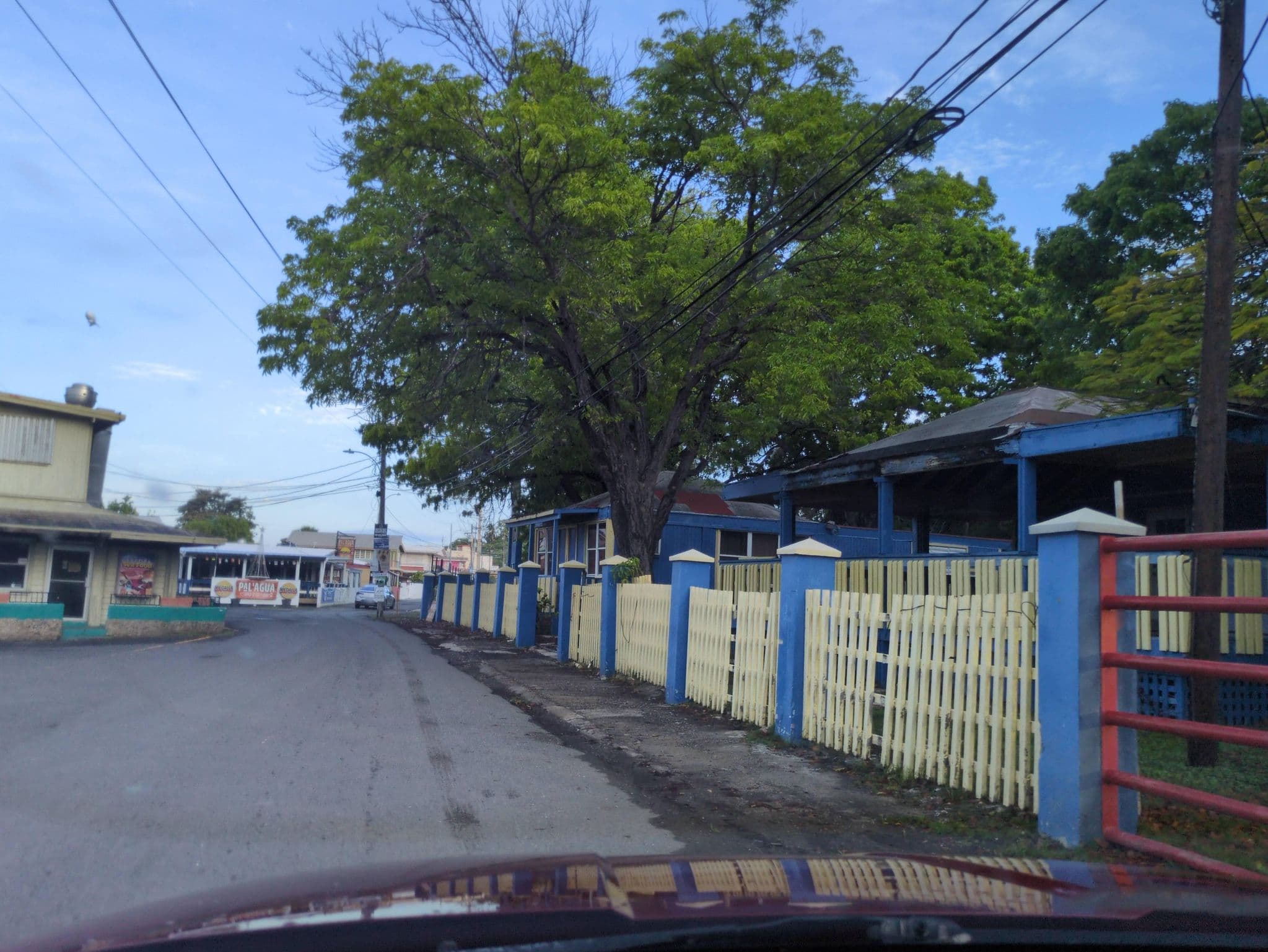 Street view near Parguera Guest House, La Parguera — © gabriel6754 (CC BY-SA · Mapillary)