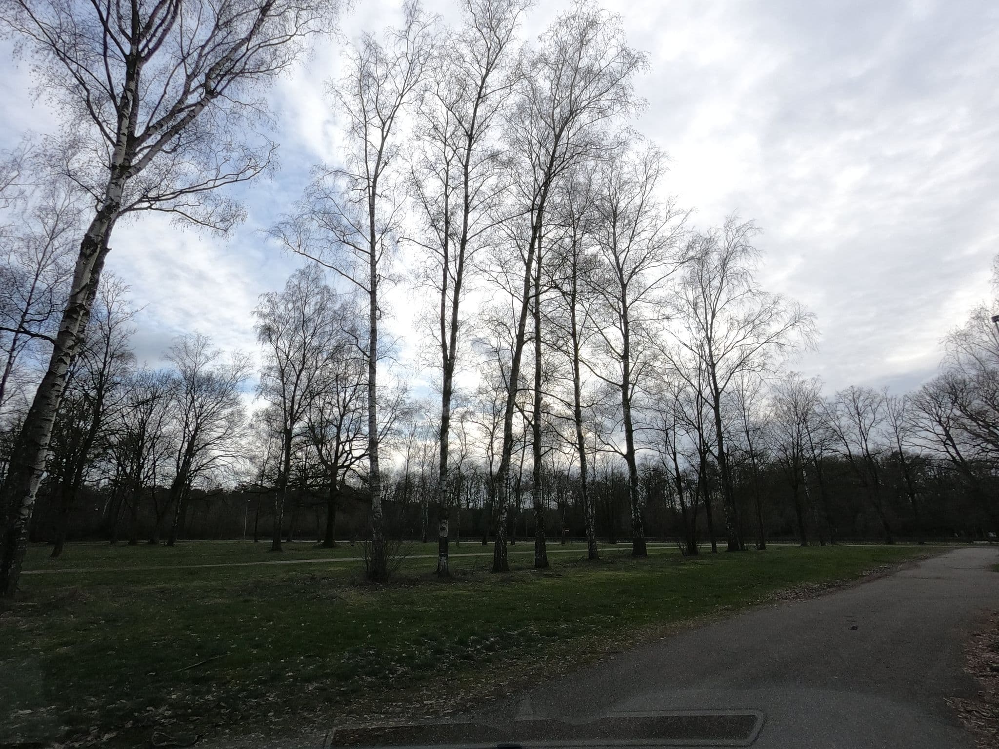 Street view near Abdijhoeve, Houthalen — © filipc (CC BY-SA · Mapillary)