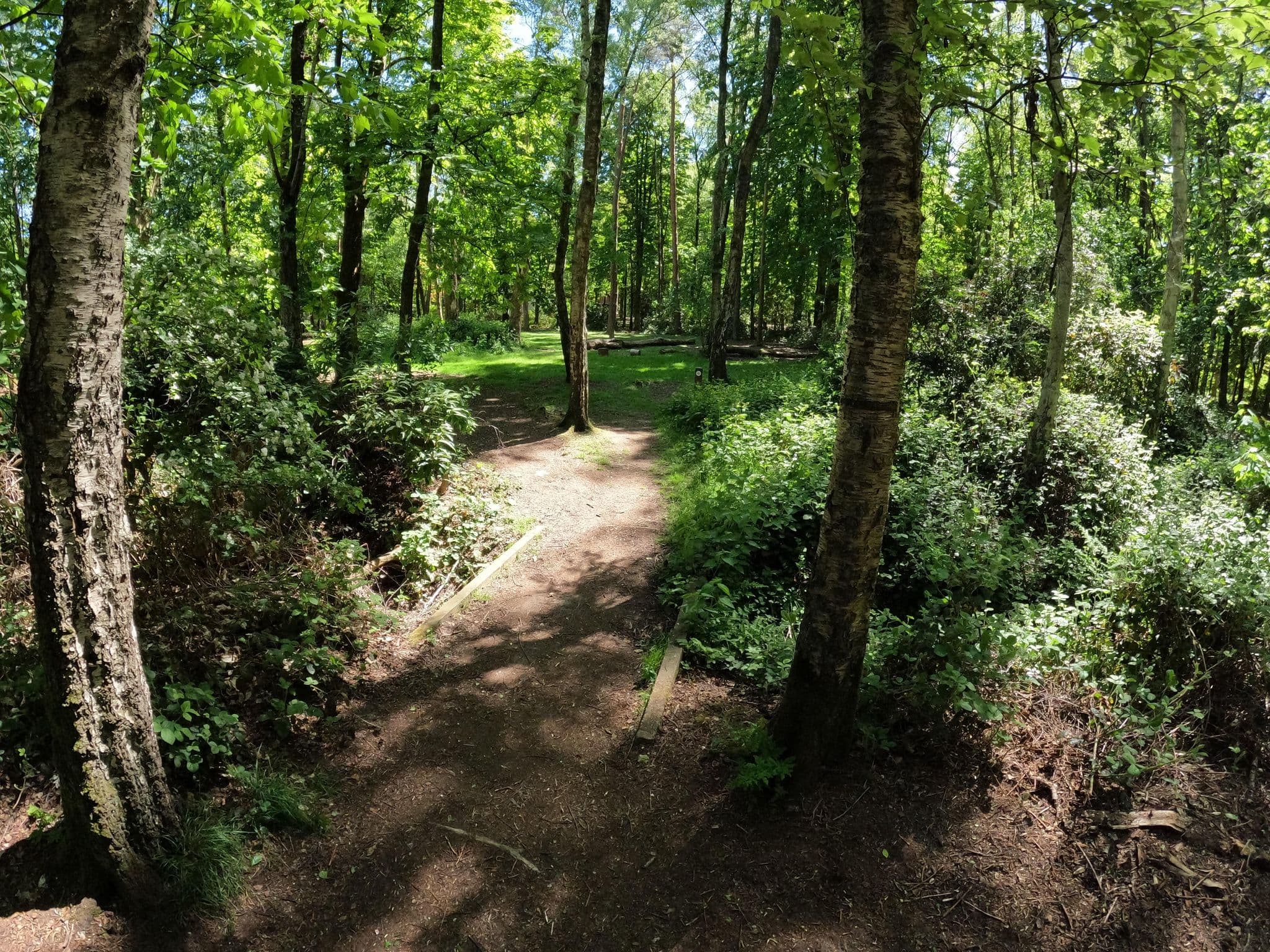 Street view near Rododendron, Sint-Niklaas — © koninklijke (CC BY-SA · Mapillary)