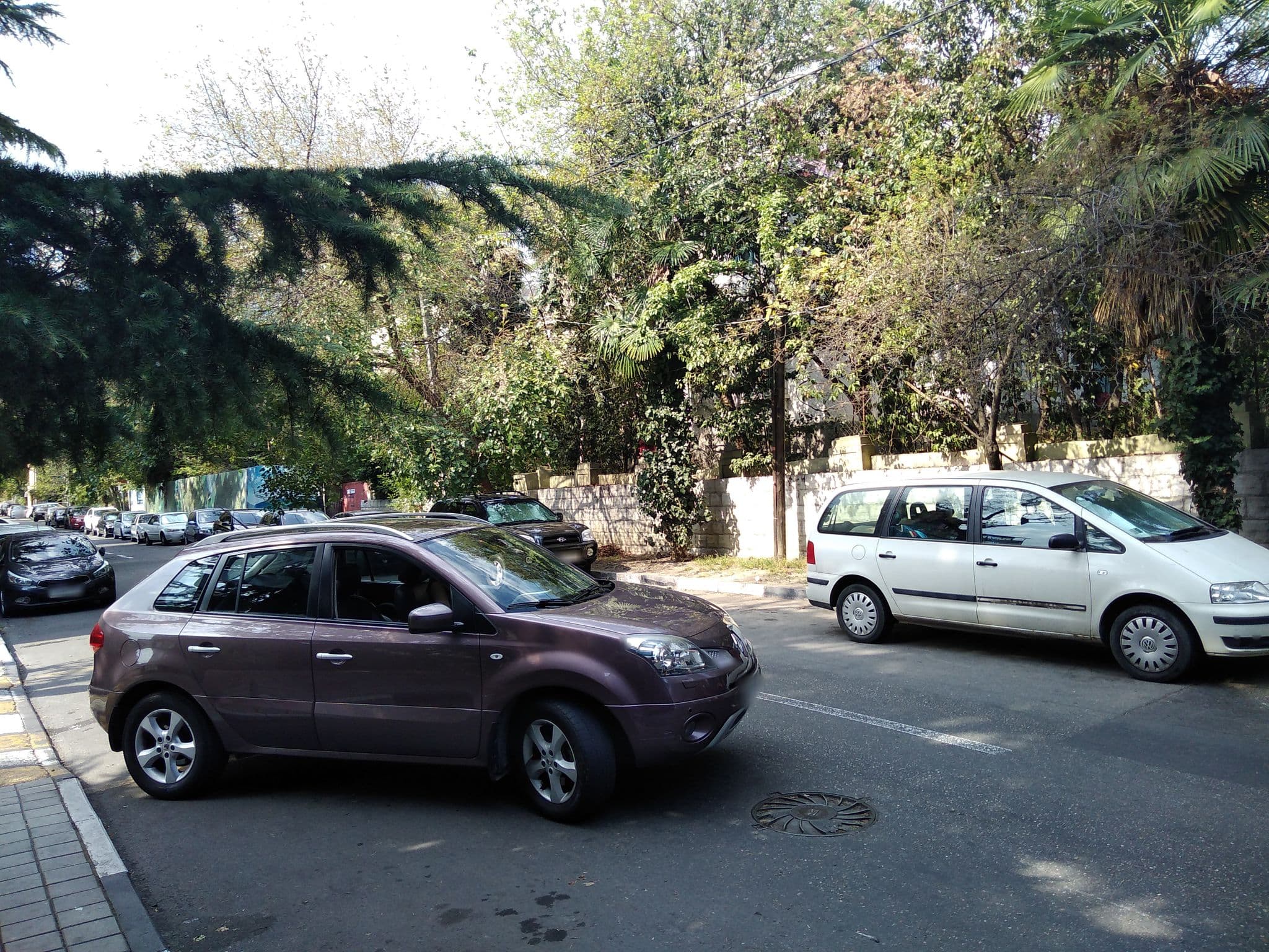 Street view near Grand Way, Sochi — © sergeyshuber (CC BY-SA · Mapillary)