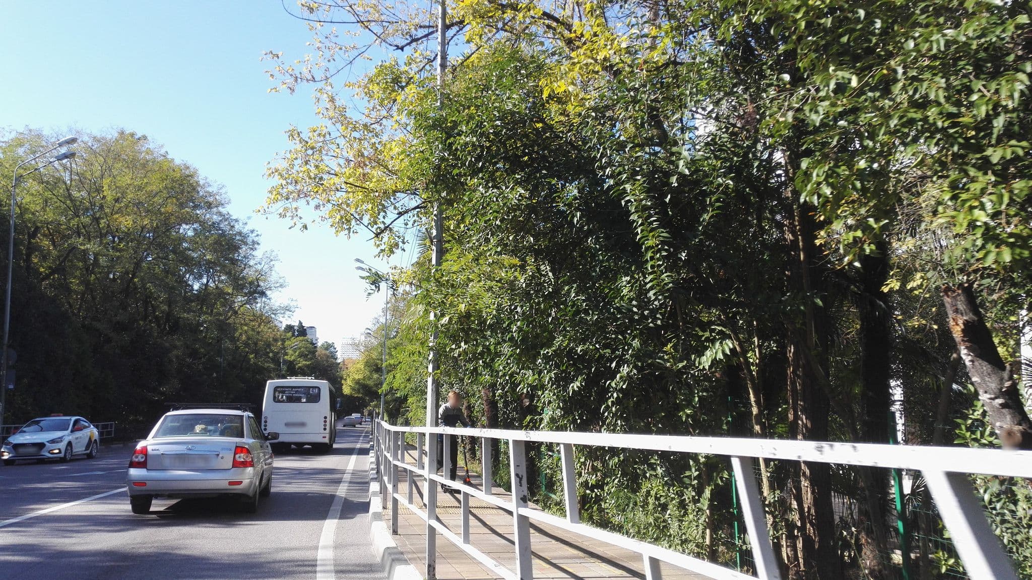 Street view near Grand Way, Sochi — © petunder (CC BY-SA · Mapillary)