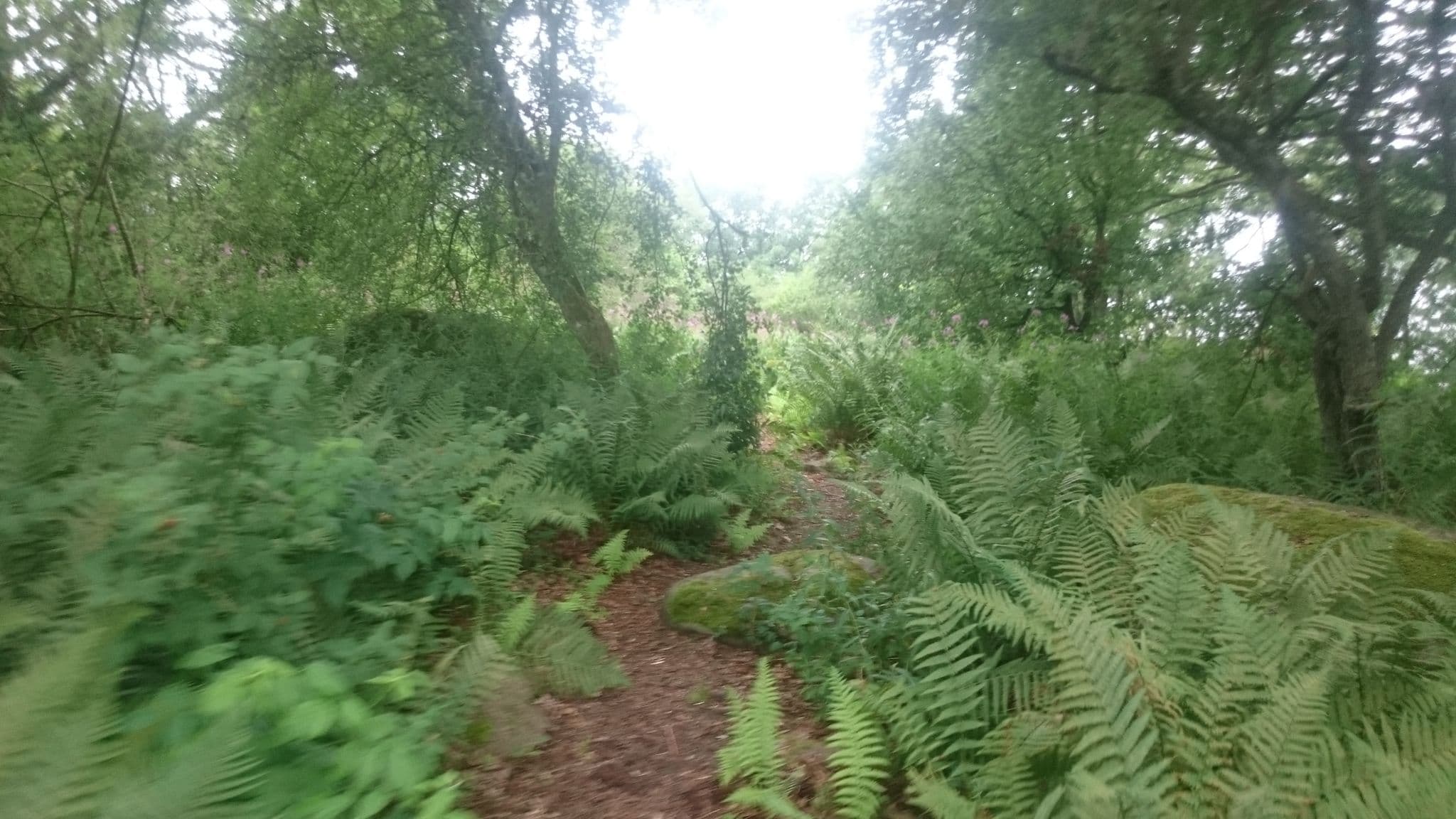 Street view near Slättön, Näsum — © ufepuf (CC BY-SA · Mapillary)