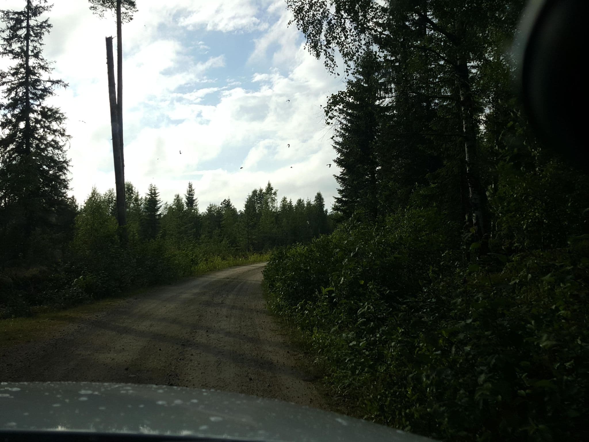 Street view near Klingersjön., Fränsta — © roadroid (CC BY-SA · Mapillary)