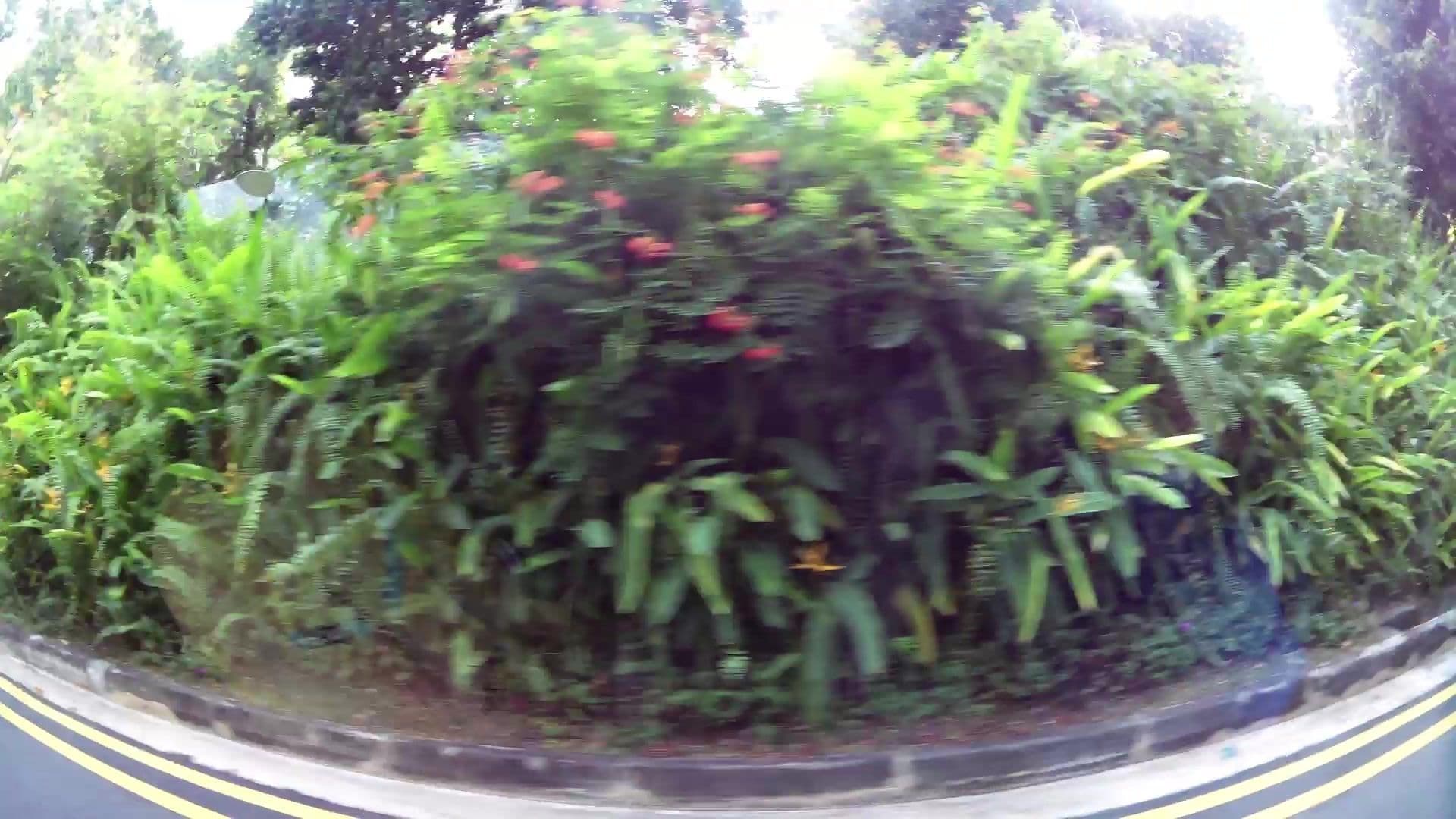 Street view near Village Hotel @ Sentosa, Sentosa — © kaartcam (CC BY-SA · Mapillary)