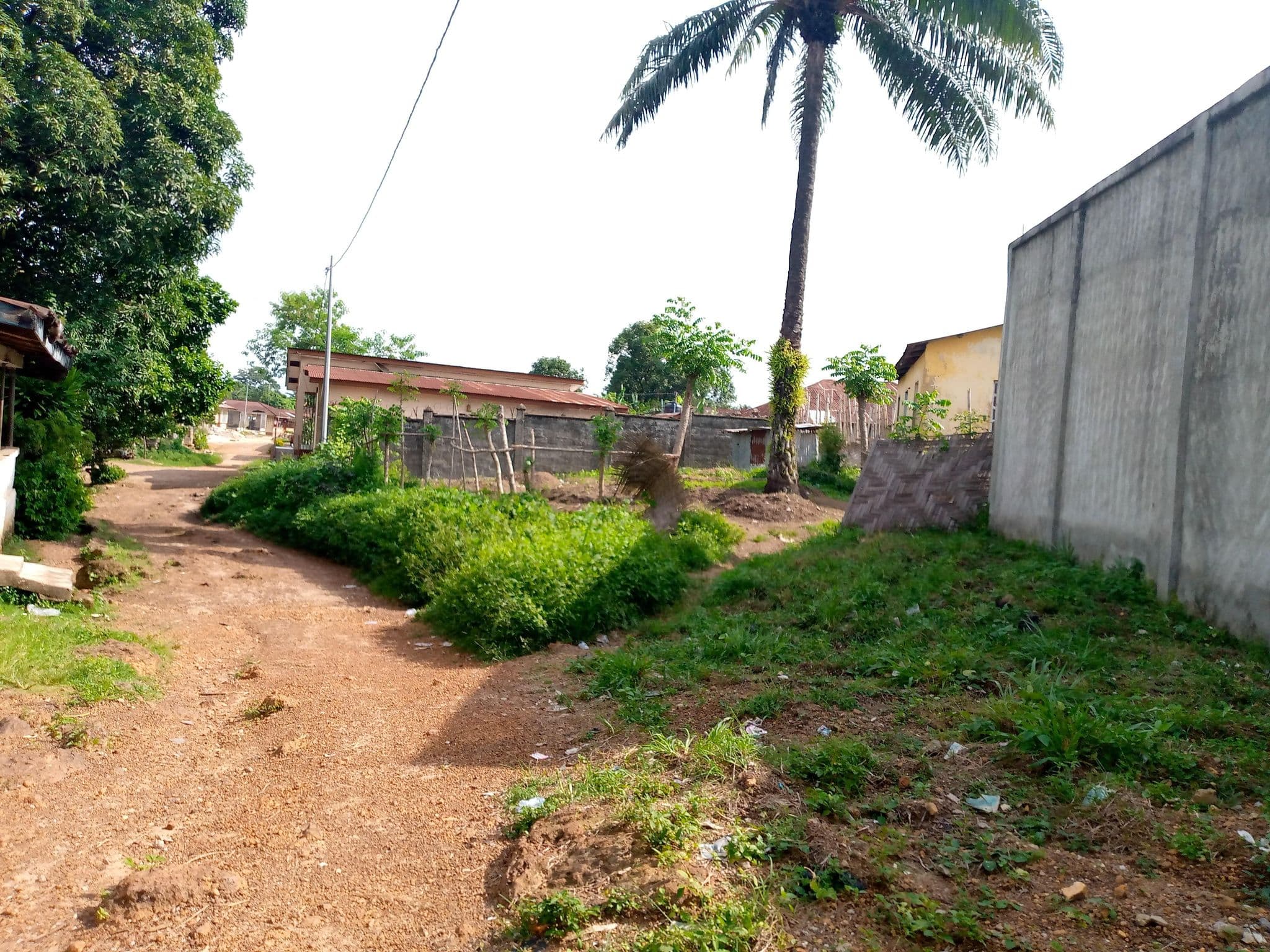 Street view near Riverside Guest House, Magburaka — © mizzy155 (CC BY-SA · Mapillary)