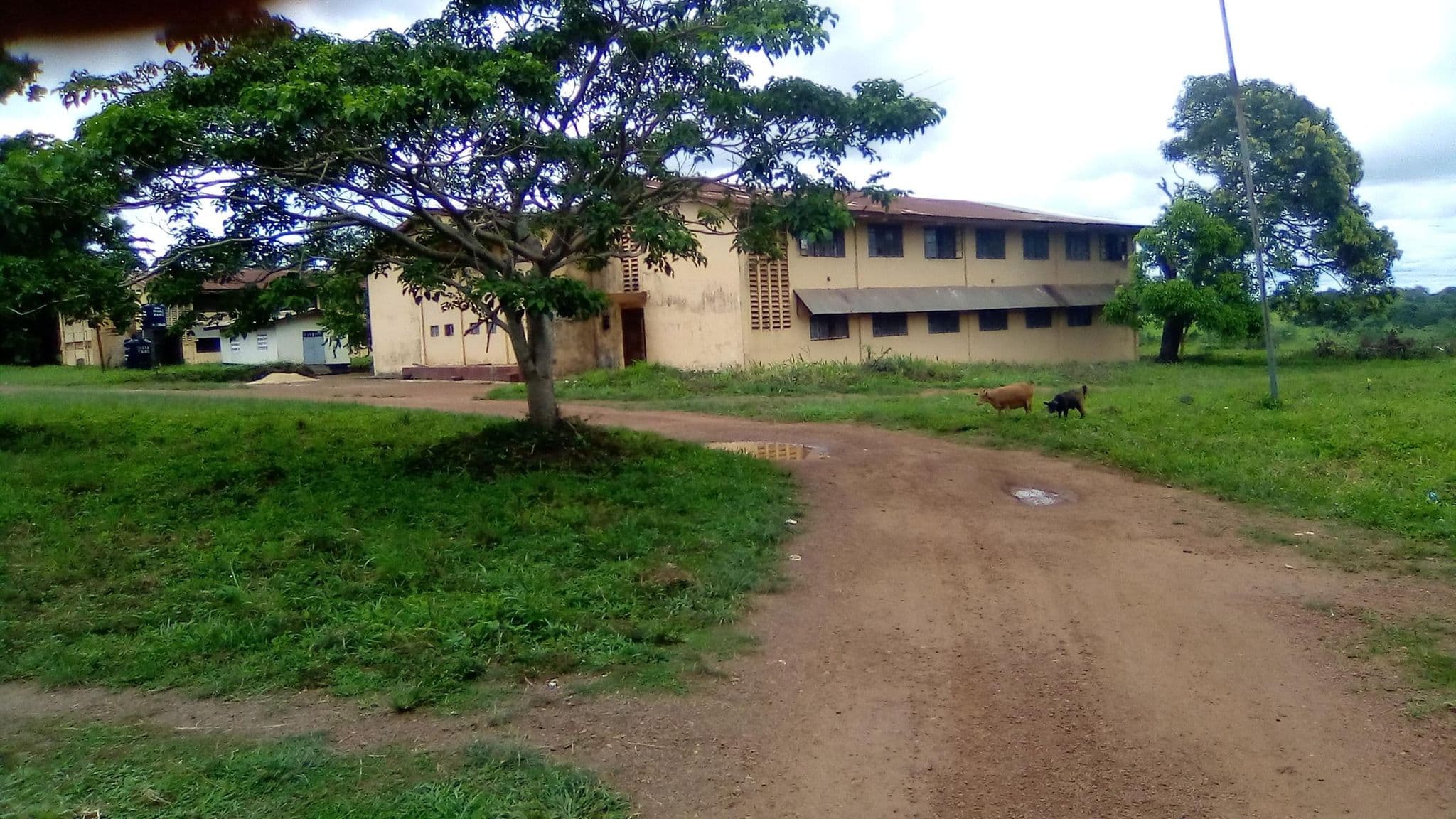 Street view near Postgrad & Medicine, Njala — © sallieusesay (CC BY-SA · Mapillary)