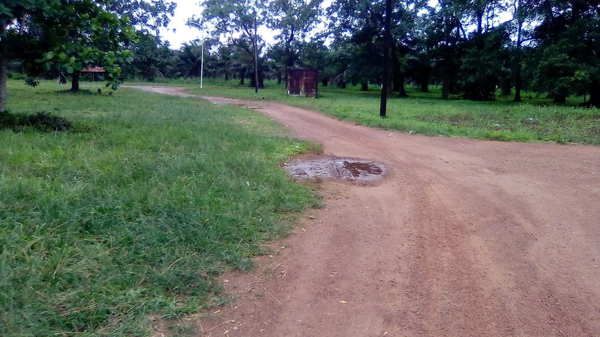 Street view near Heavens 1, Njala — © sallieusesay (CC BY-SA · Mapillary)